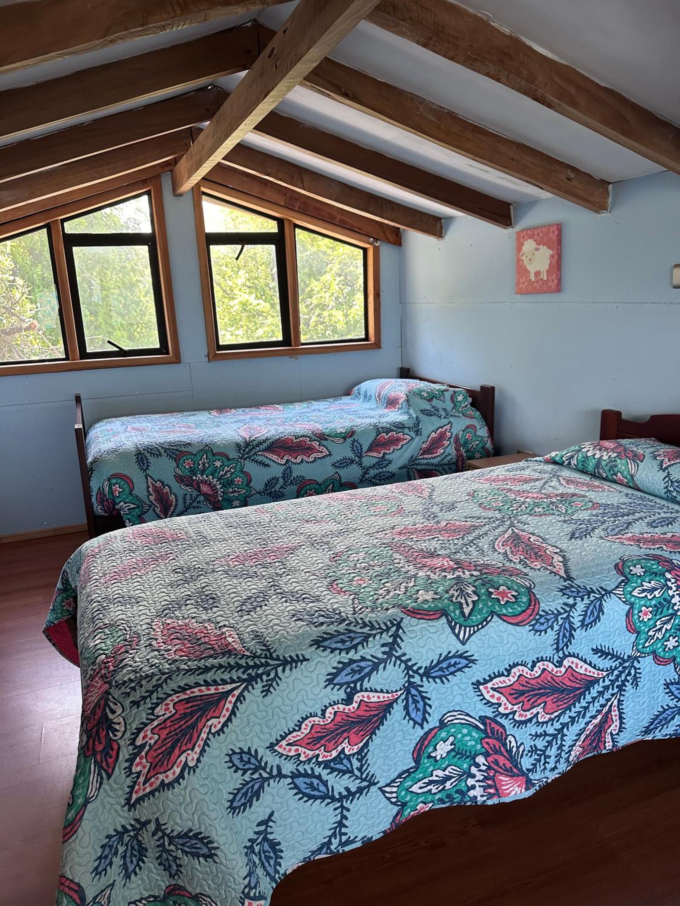 Cabañas Paihuén