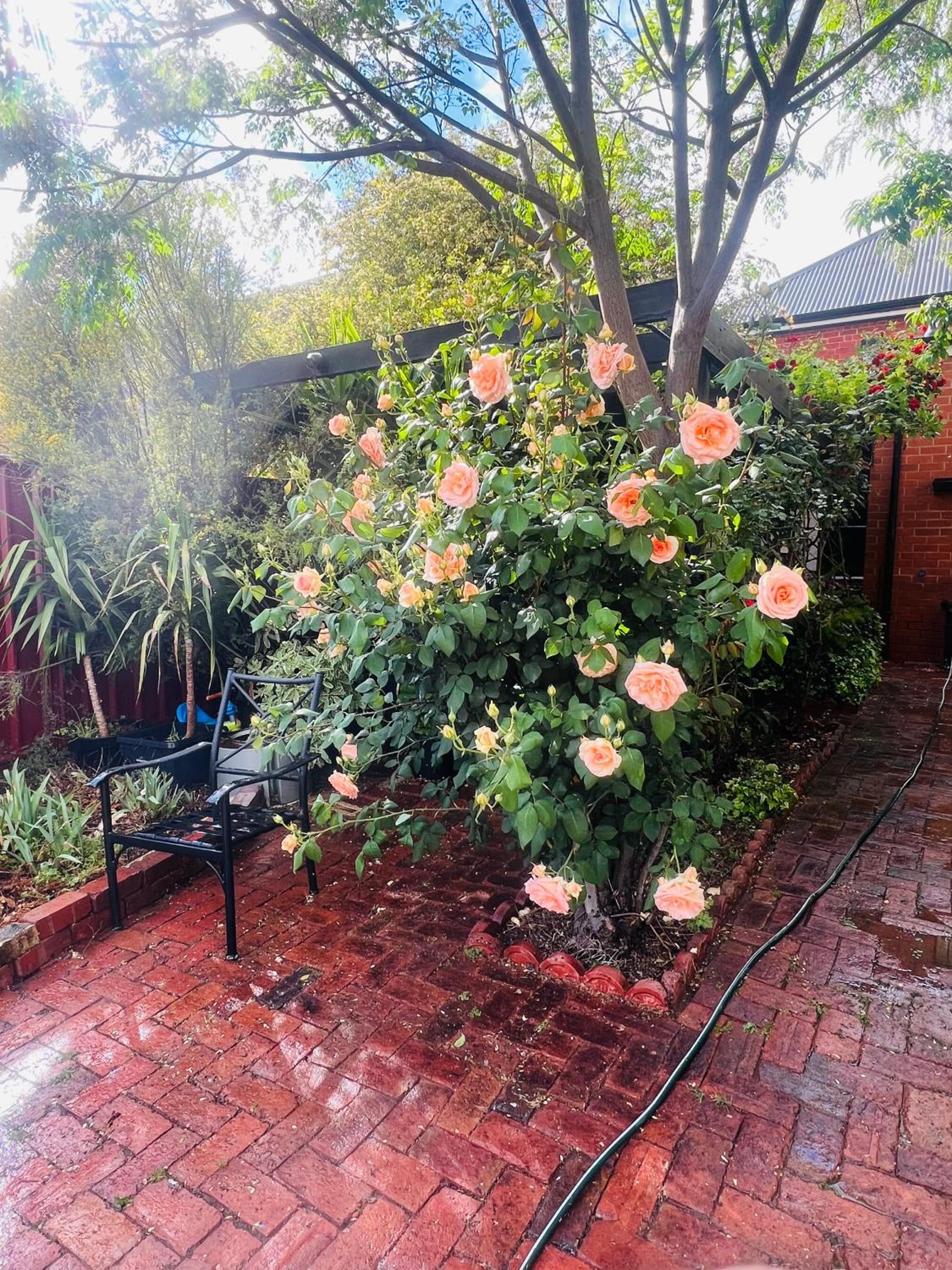 Unique CBD home