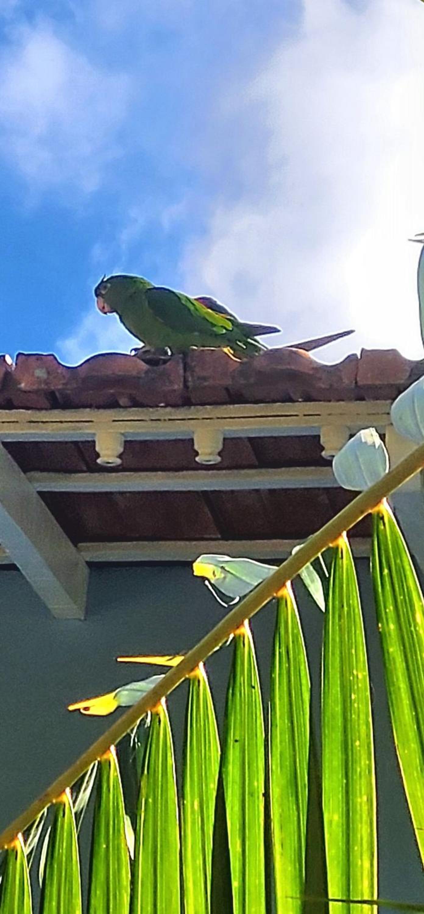 Pousada Solar Azul