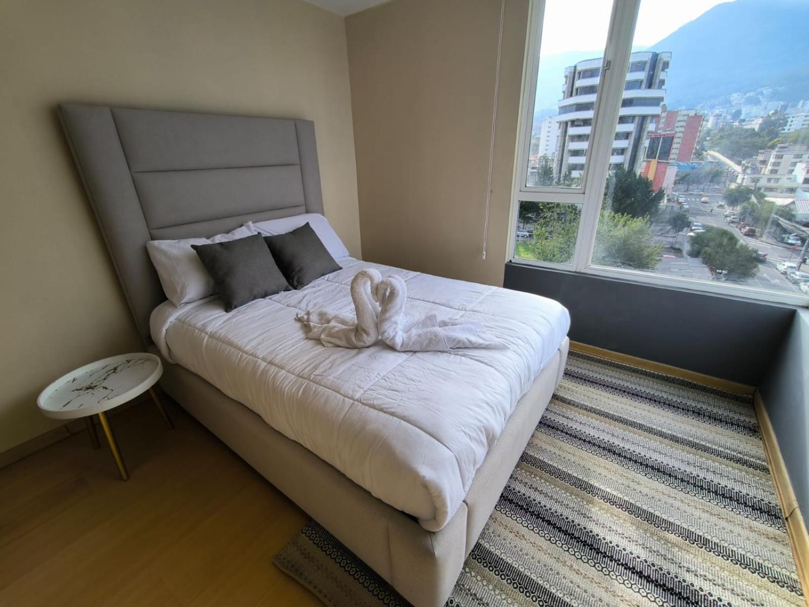 Coliving Ecuador Korea Residences Carolina Area best view CCI Quito view 5
