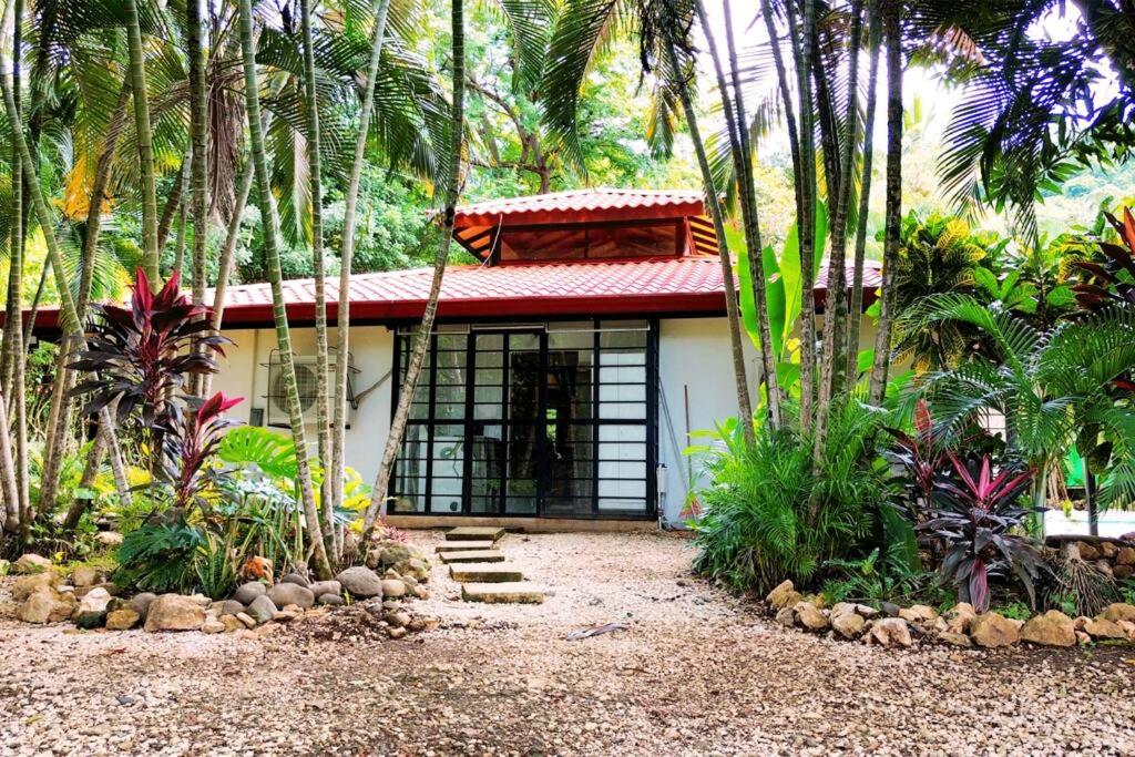 Jungle Surf Monkey Villa