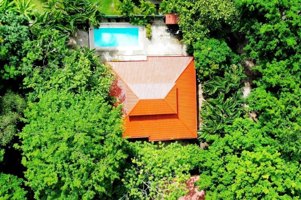 Jungle Surf Monkey Villa