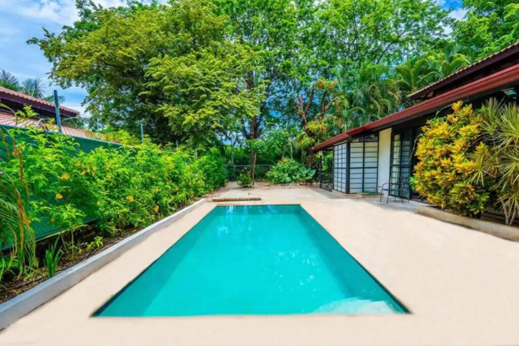 Jungle Surf Monkey Villa