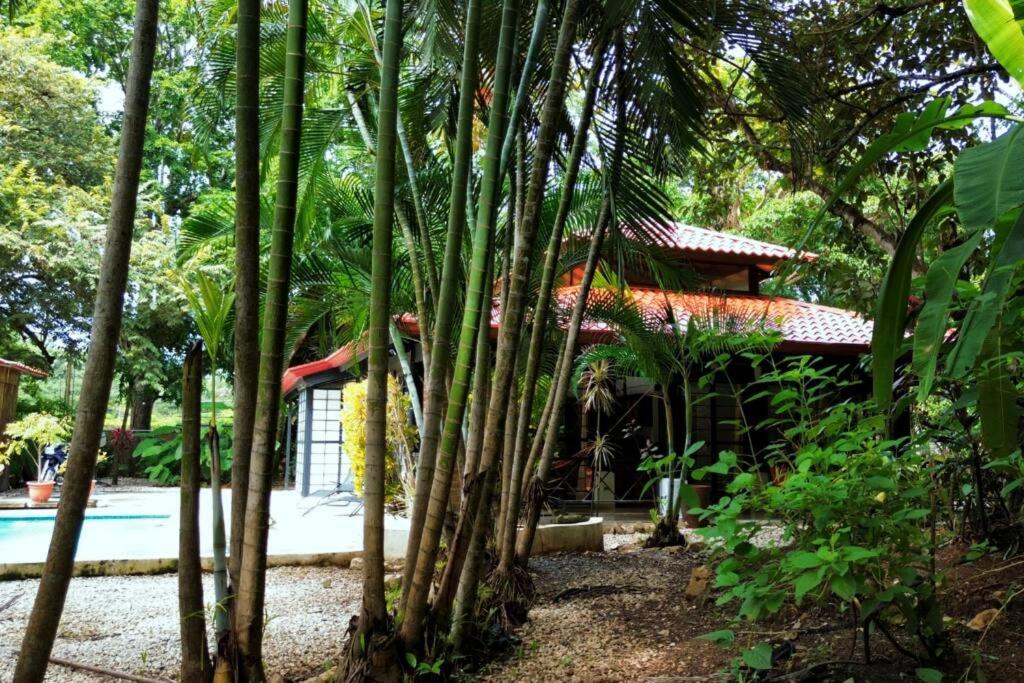 Jungle Surf Monkey Villa