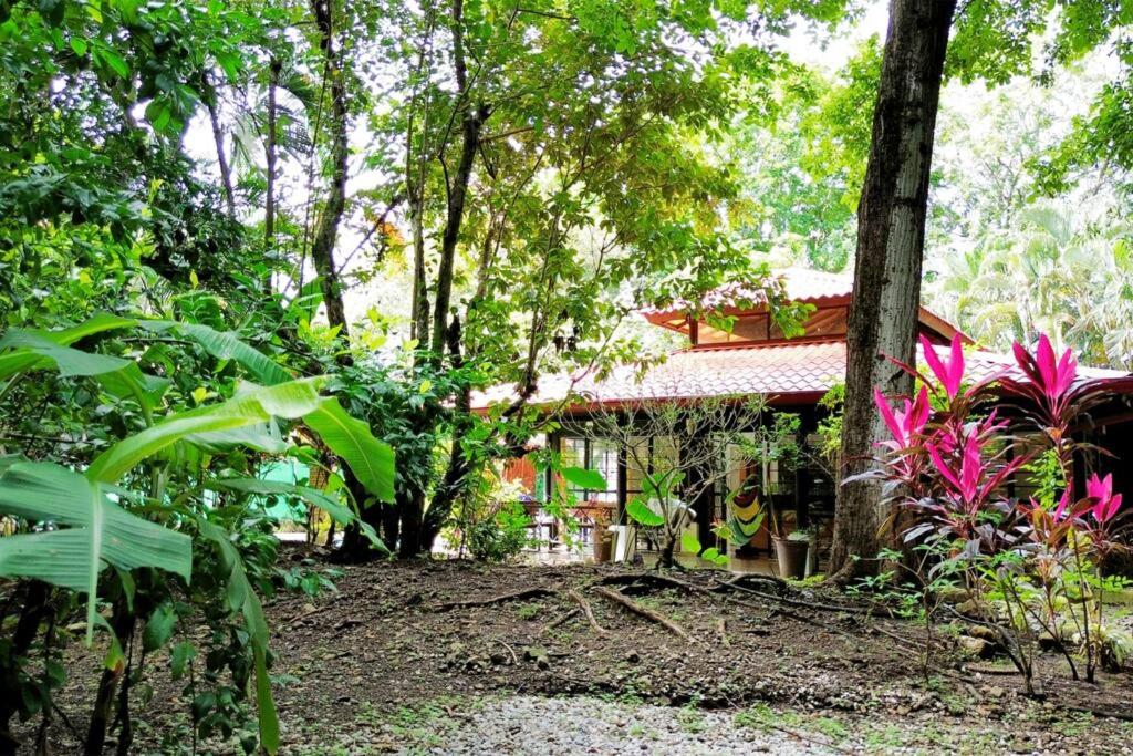 Jungle Surf Monkey Villa