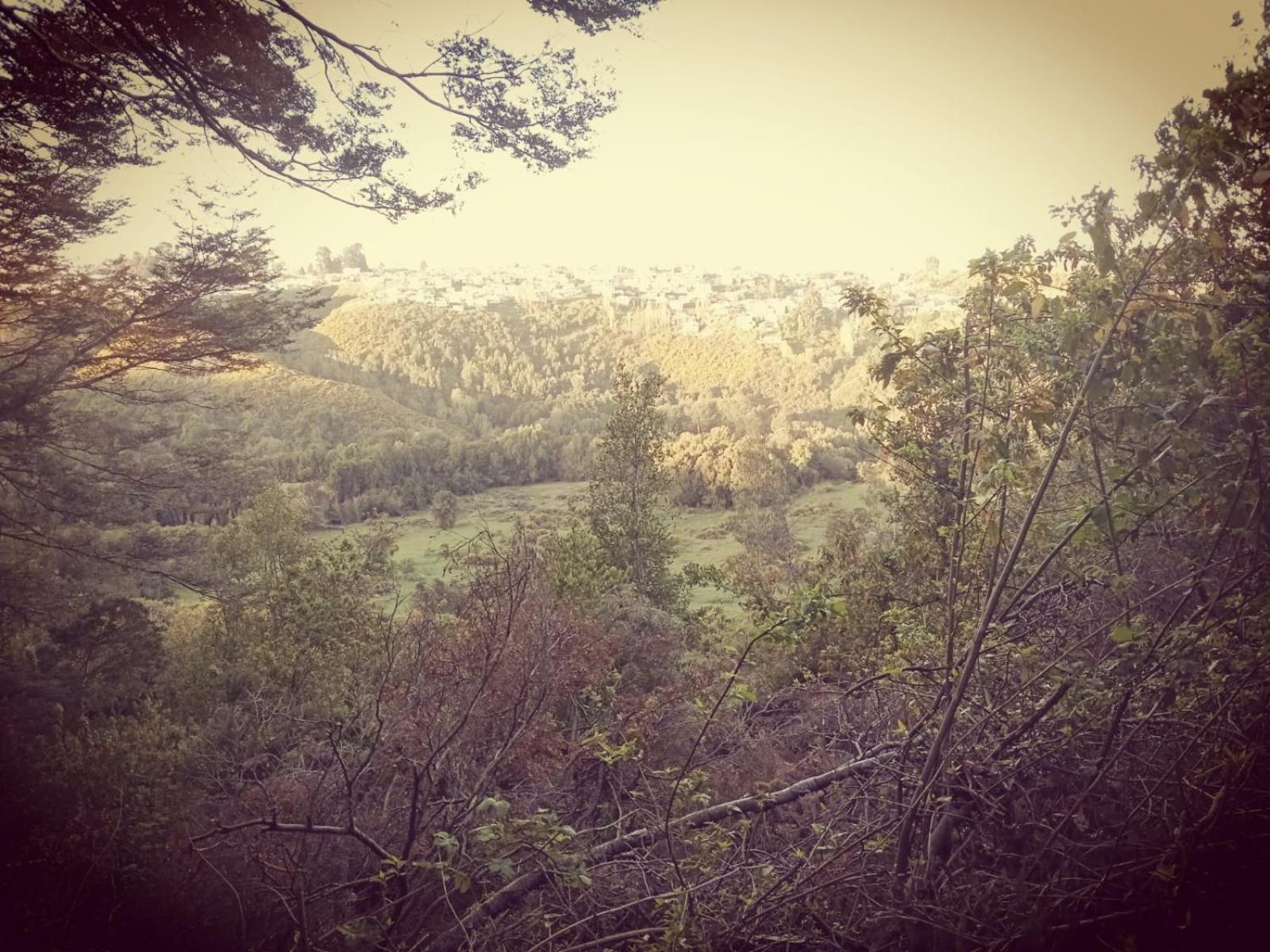 cabañita Campestre, independiente