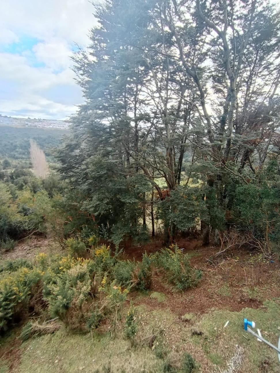 cabañita Campestre, independiente