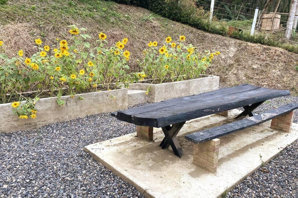 Cabaña Altas vistas con piscina y horno