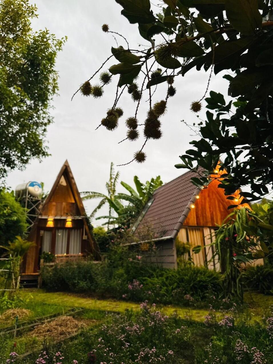 Buon'S garden