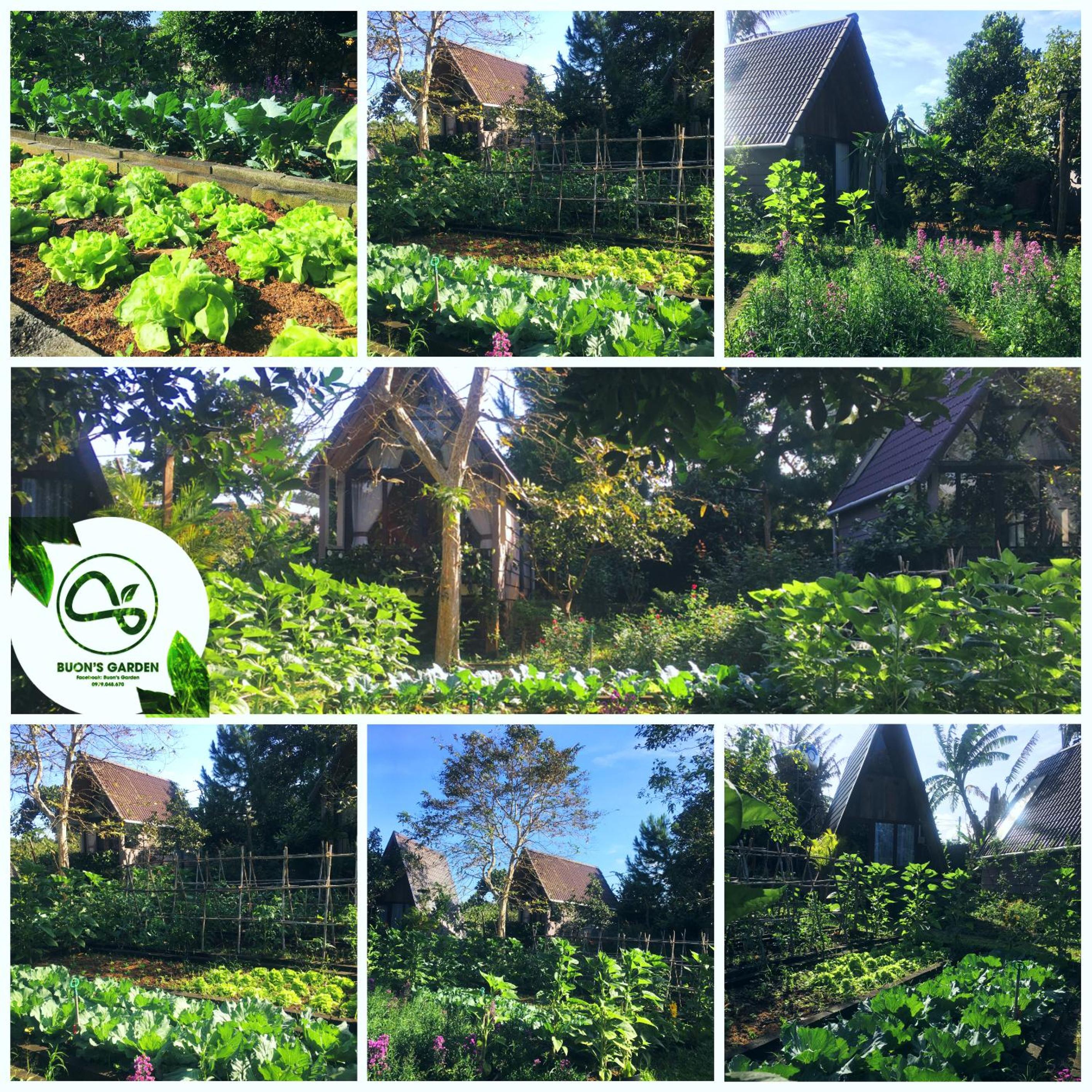 Buon'S garden