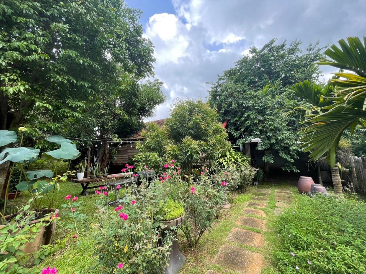 Buon'S garden