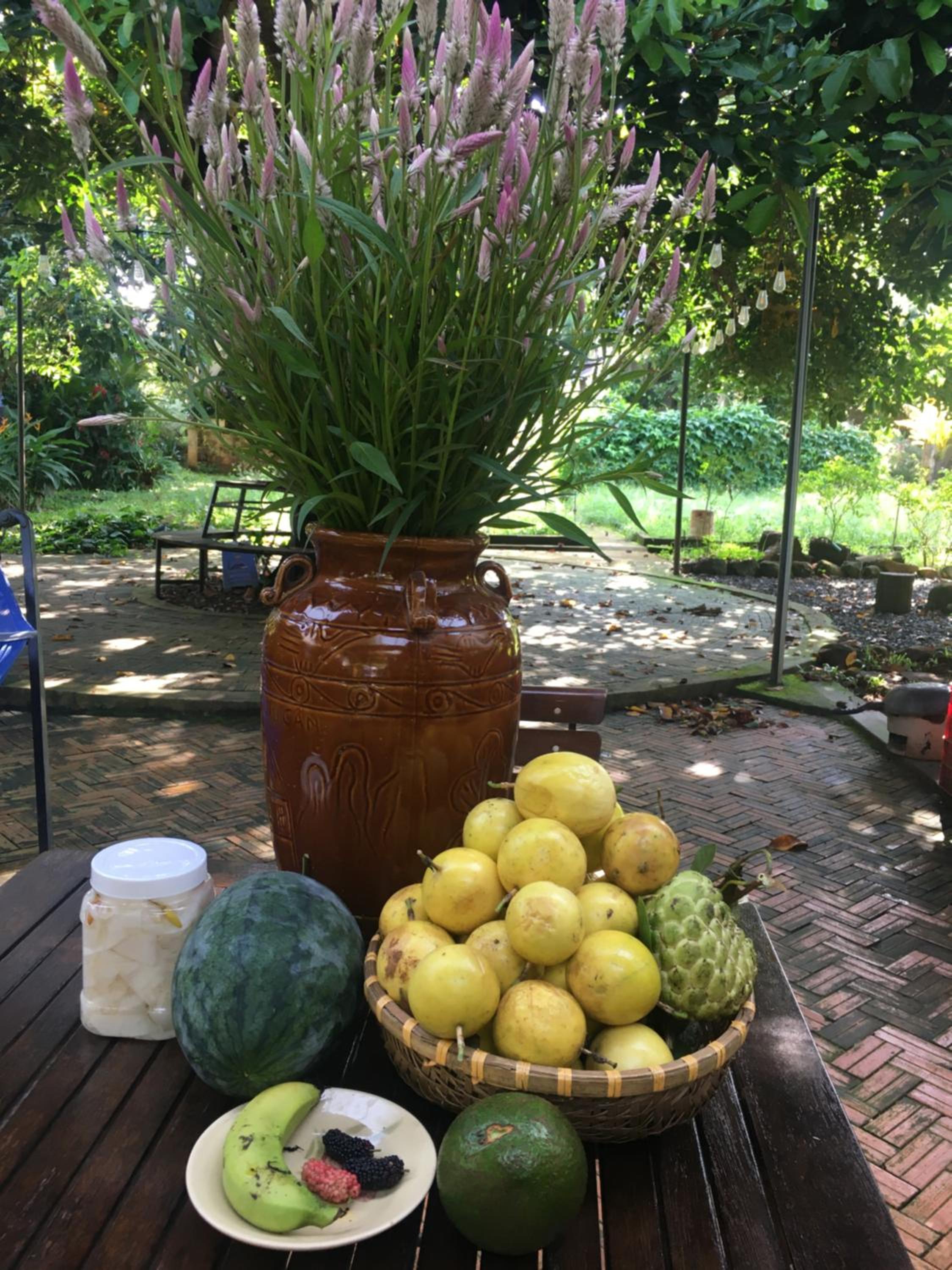 Buon'S garden