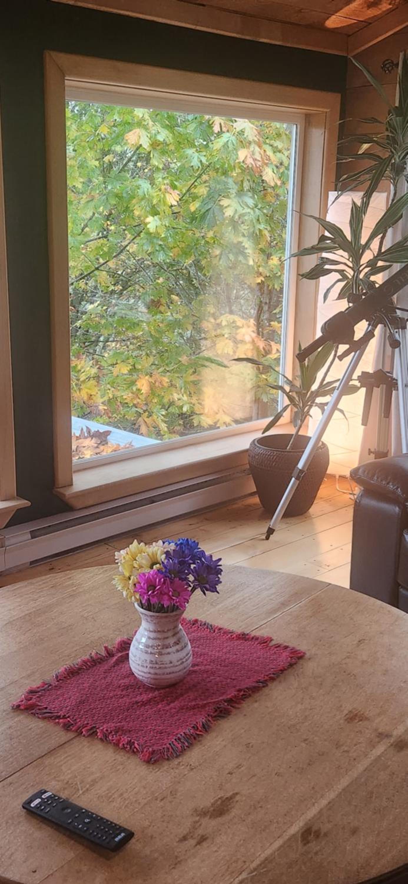 Hummingbird B&B