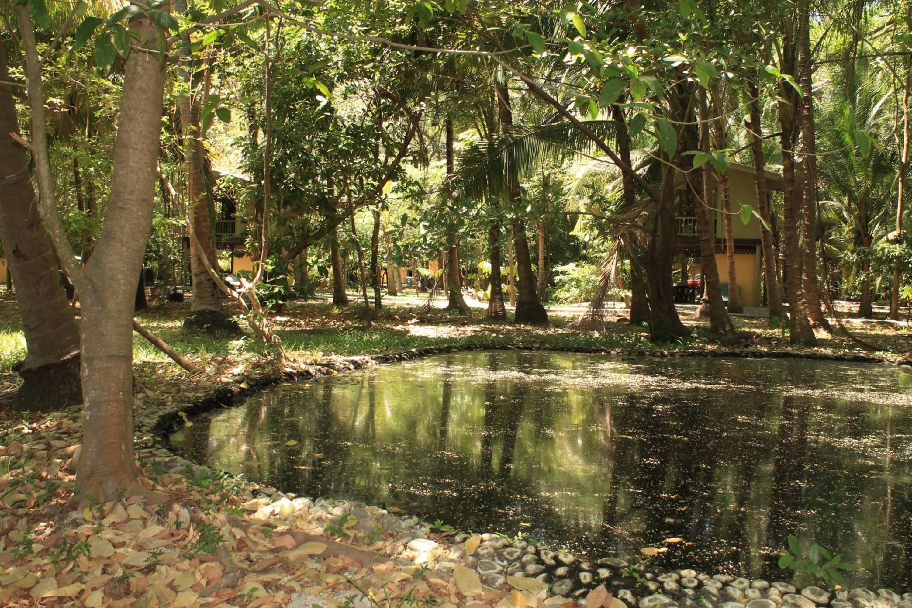 Puerto Barillas