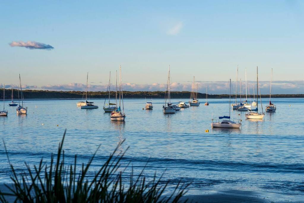 Paws and Pause at The Bay