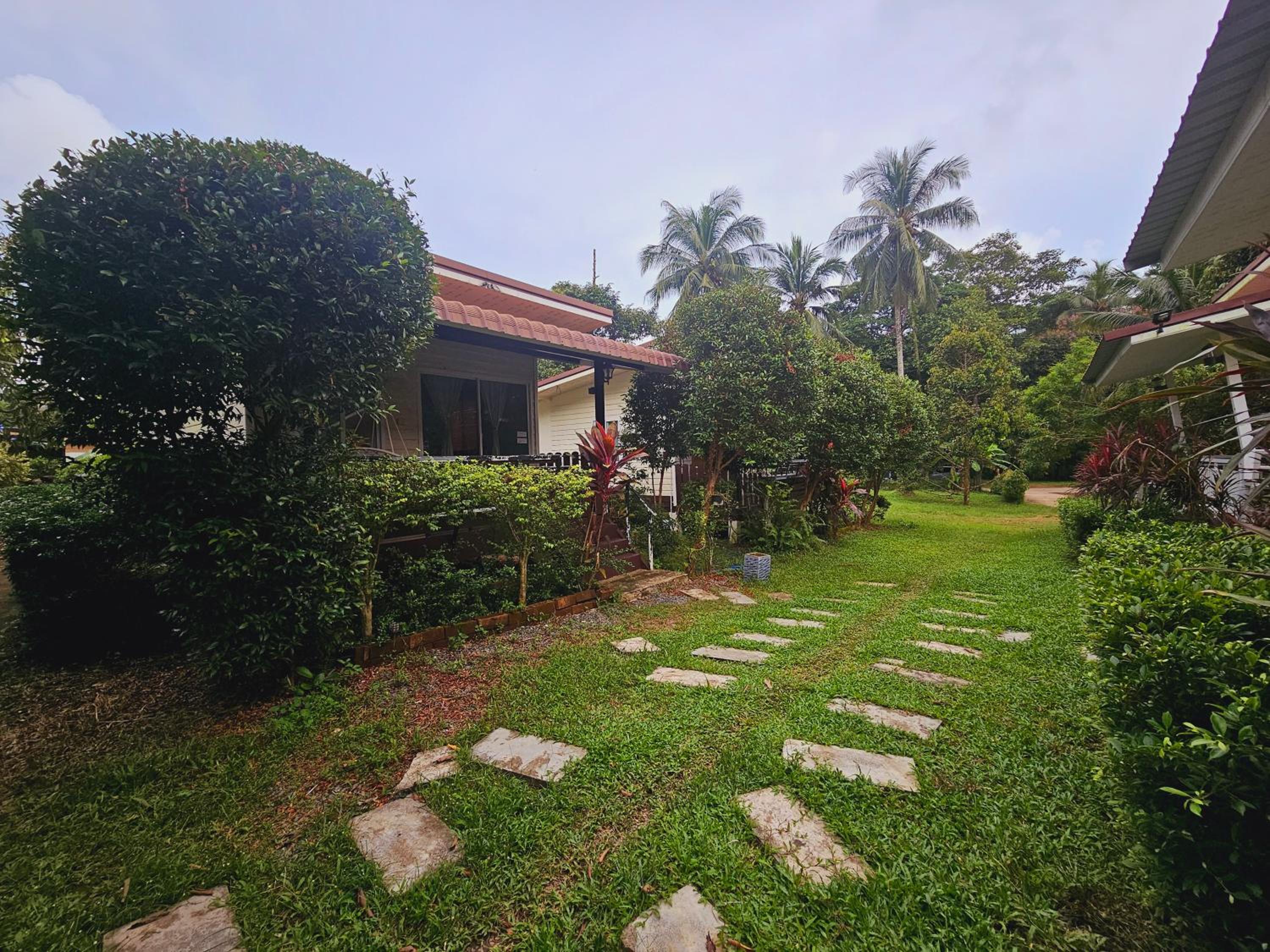 Photo 21