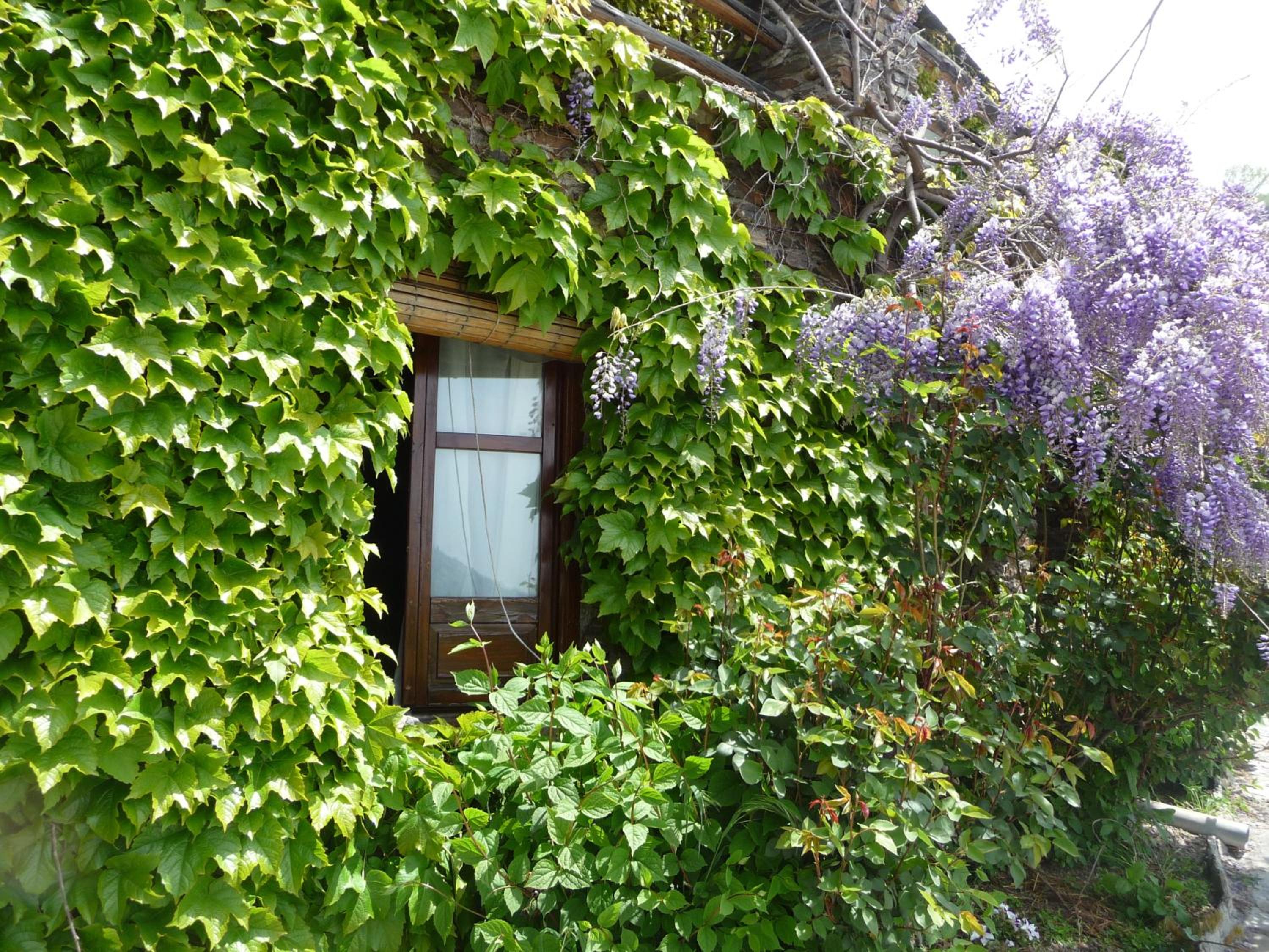 Casa Rural Catifalarga Alpujarra