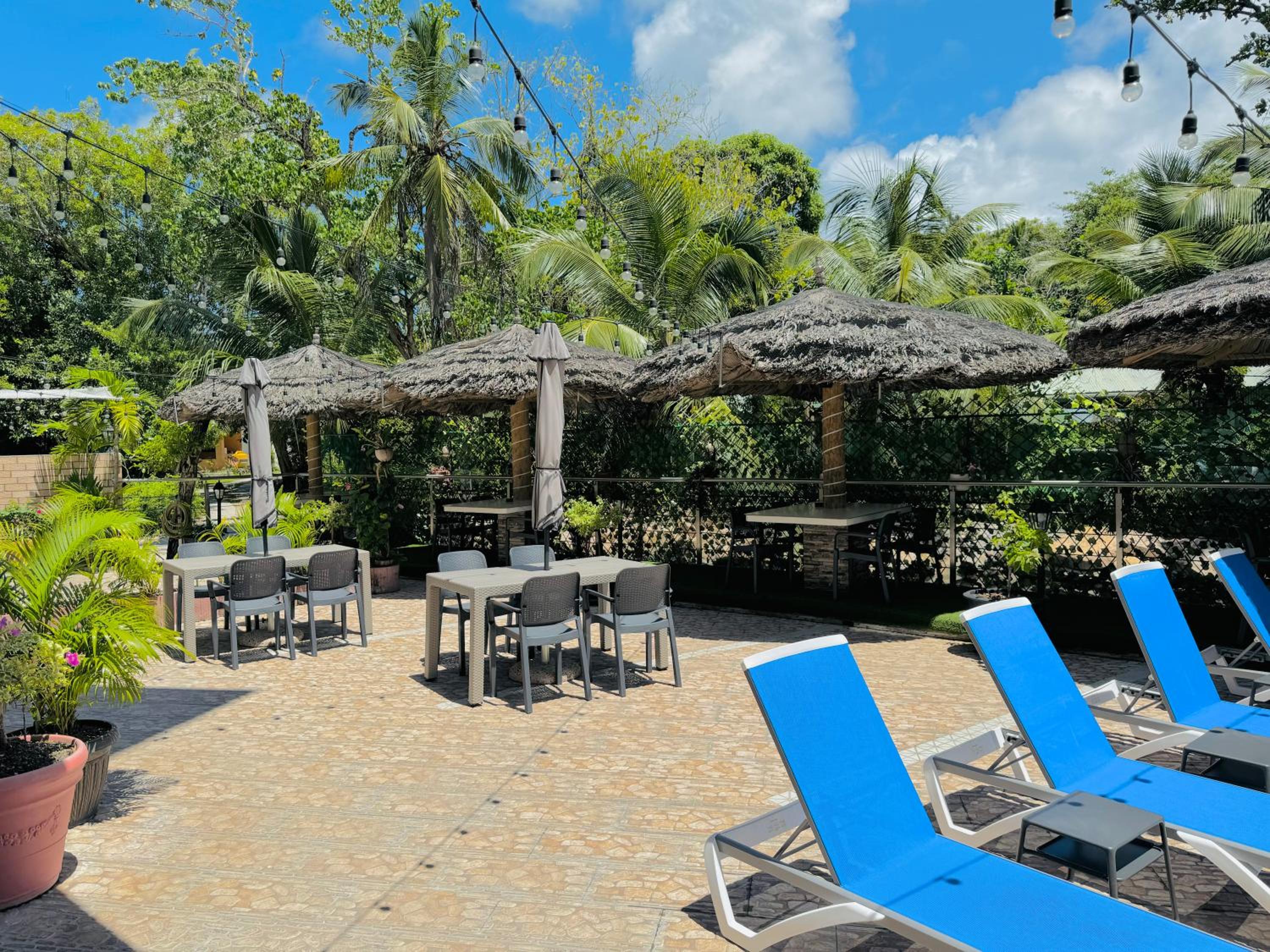 Bijoutier Apartments photo 5