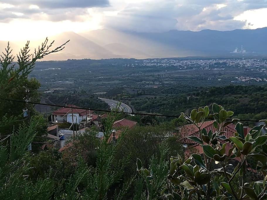 Villa Lena Megalopoli