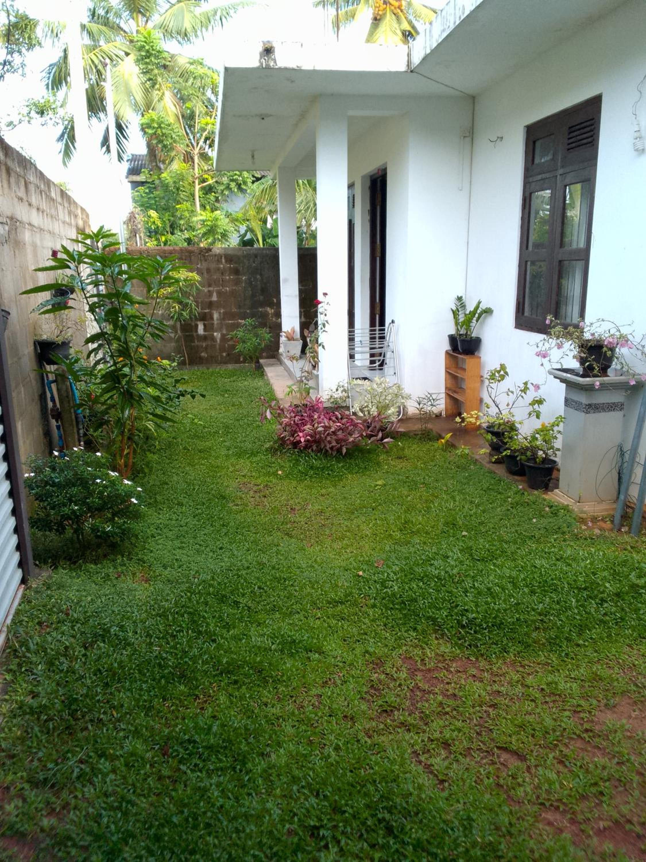 Rajika