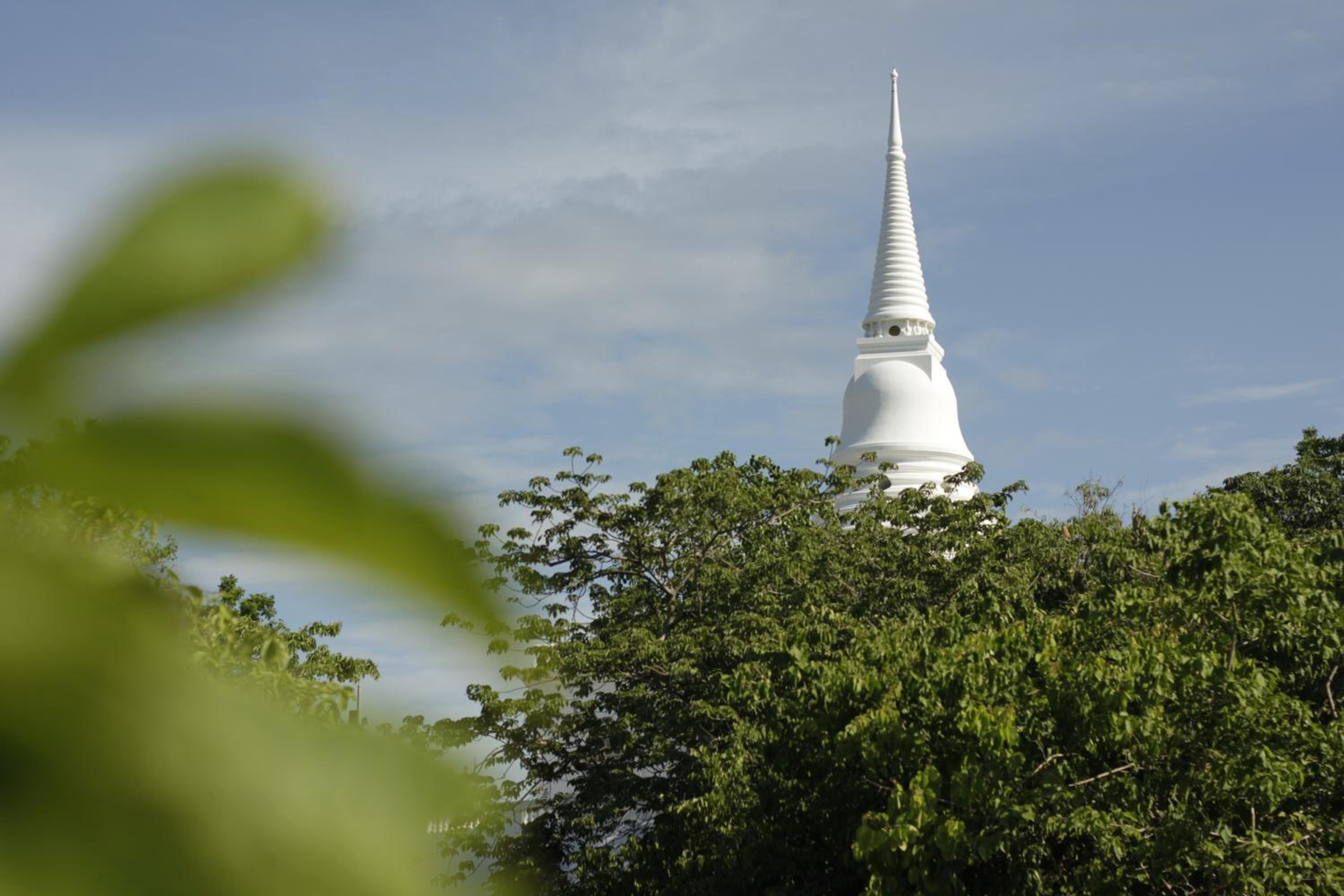 Beluga koh Sichang