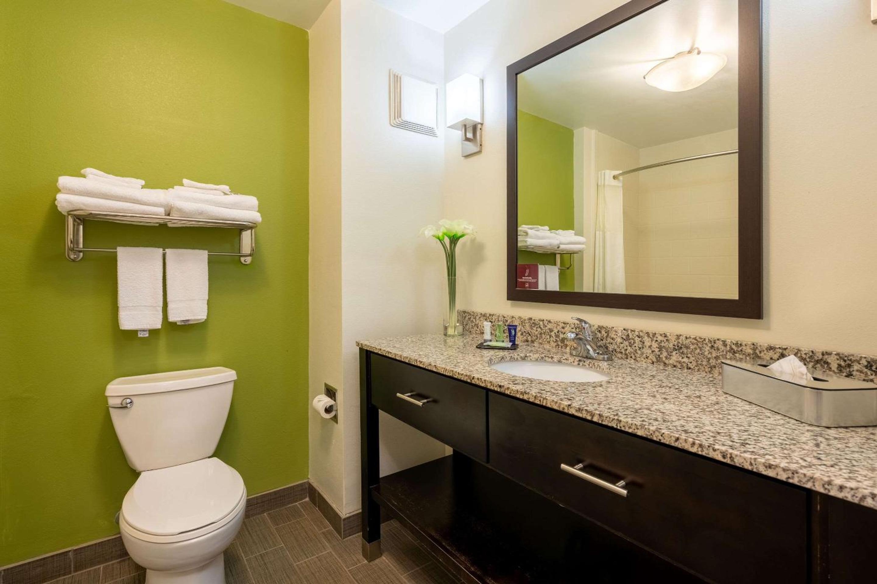 Sleep Inn  Suites Harbour Pointe - Property Image 23