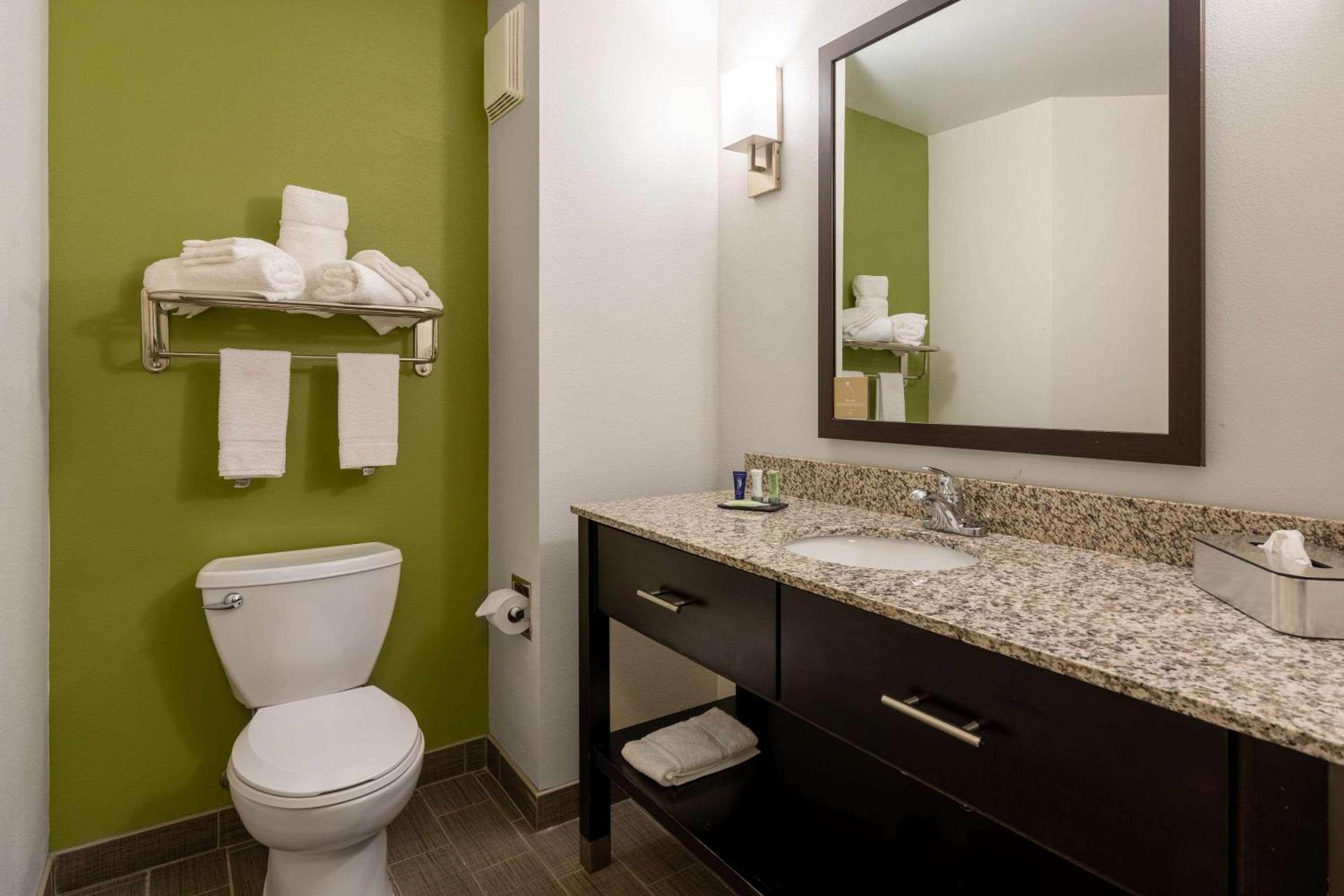 Sleep Inn  Suites Harbour Pointe - Property Image 21