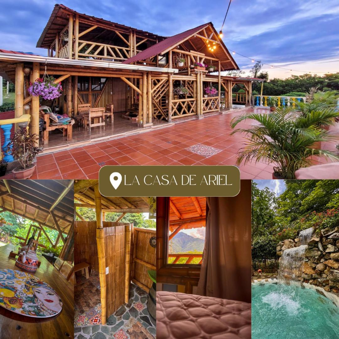 La Casa de Ariel, La Ulloa