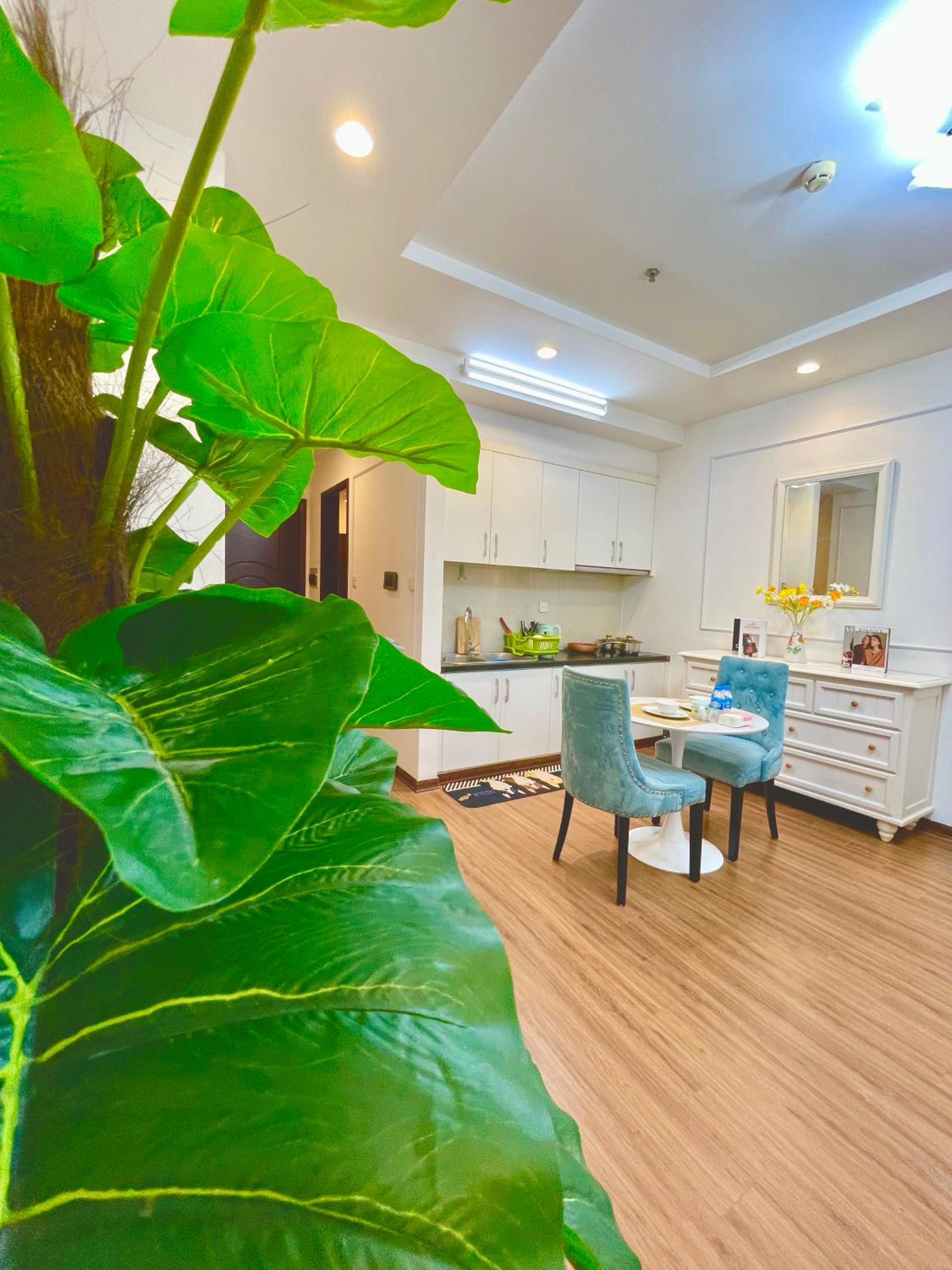 Homestay căn hộ cao cấp Times city Park Hill