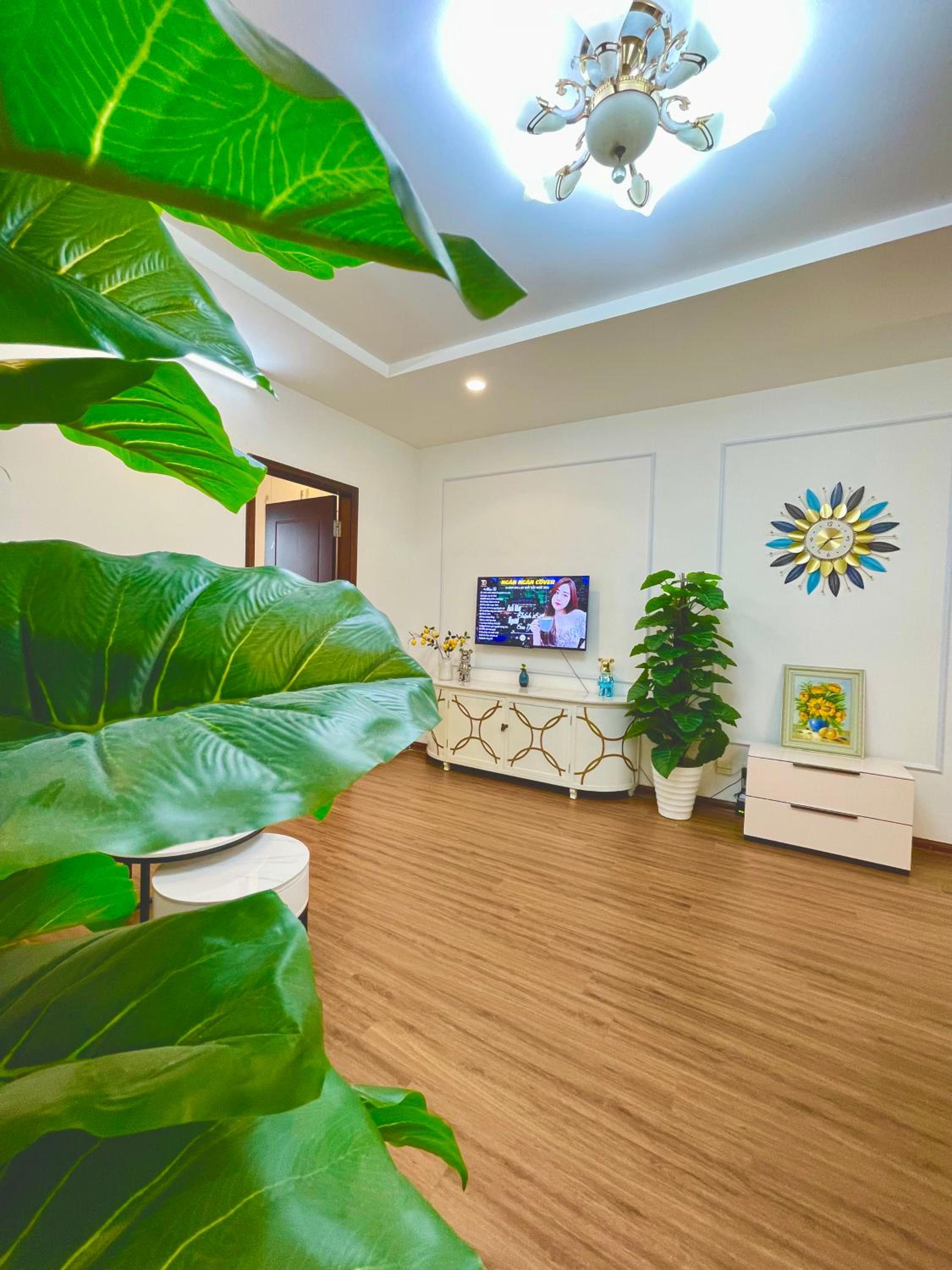 Homestay căn hộ cao cấp Times city Park Hill