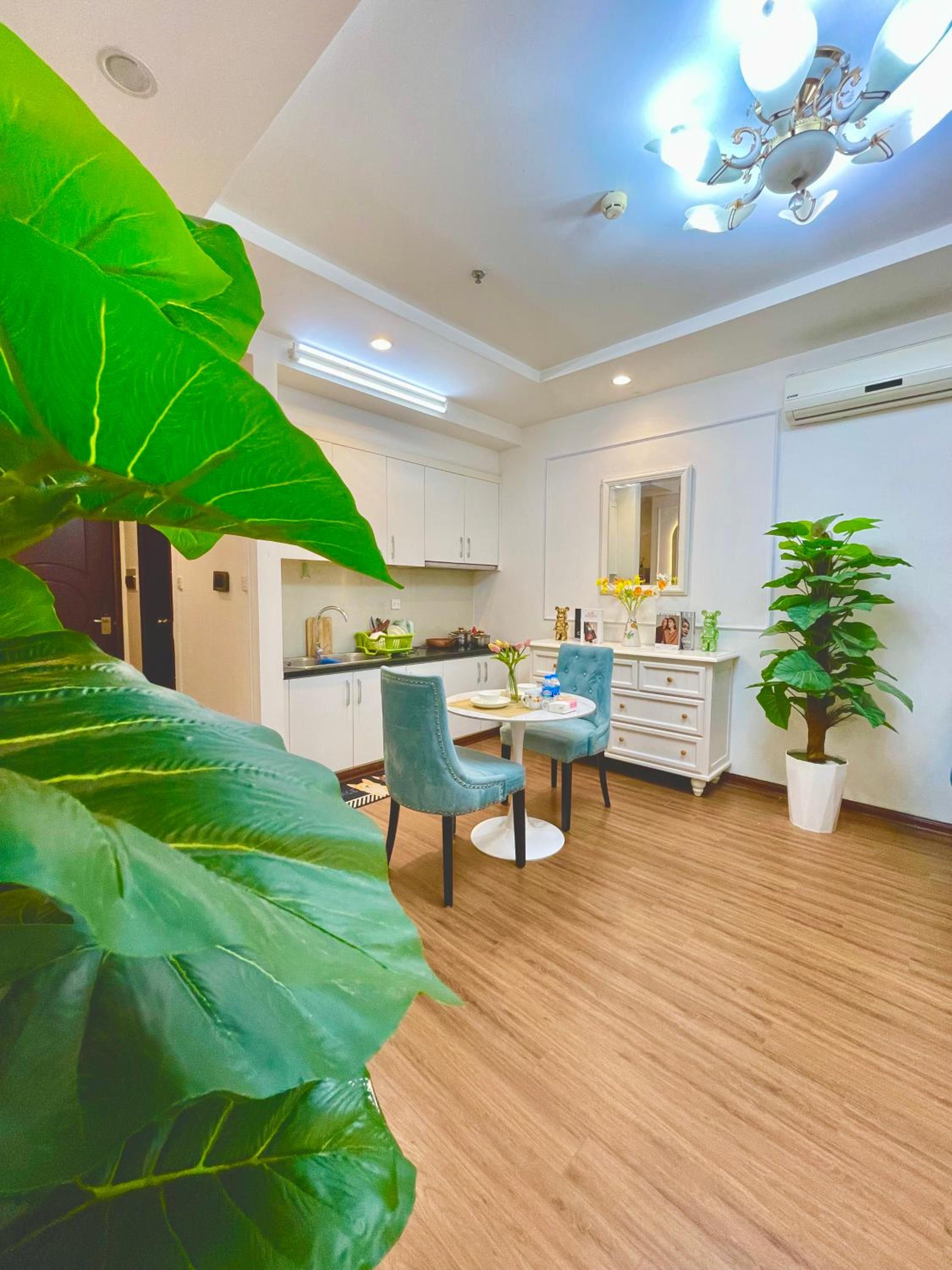 Homestay căn hộ cao cấp Times city Park Hill