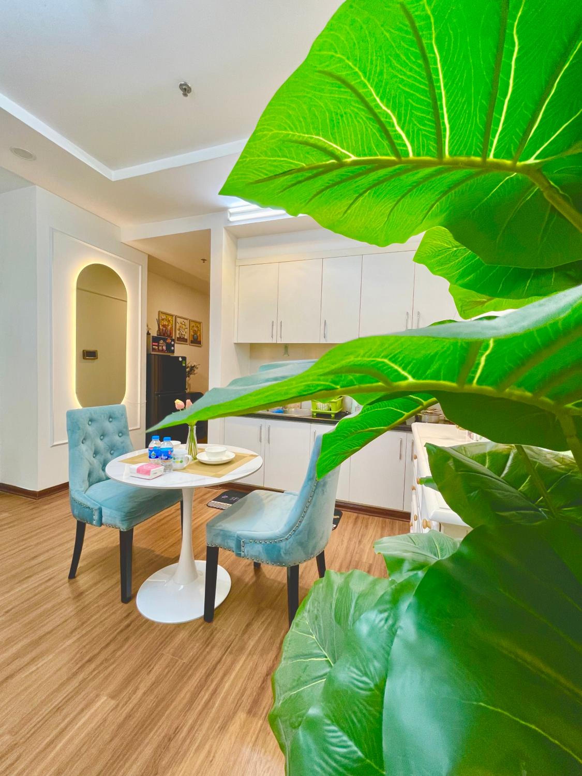 Homestay căn hộ cao cấp Times city Park Hill