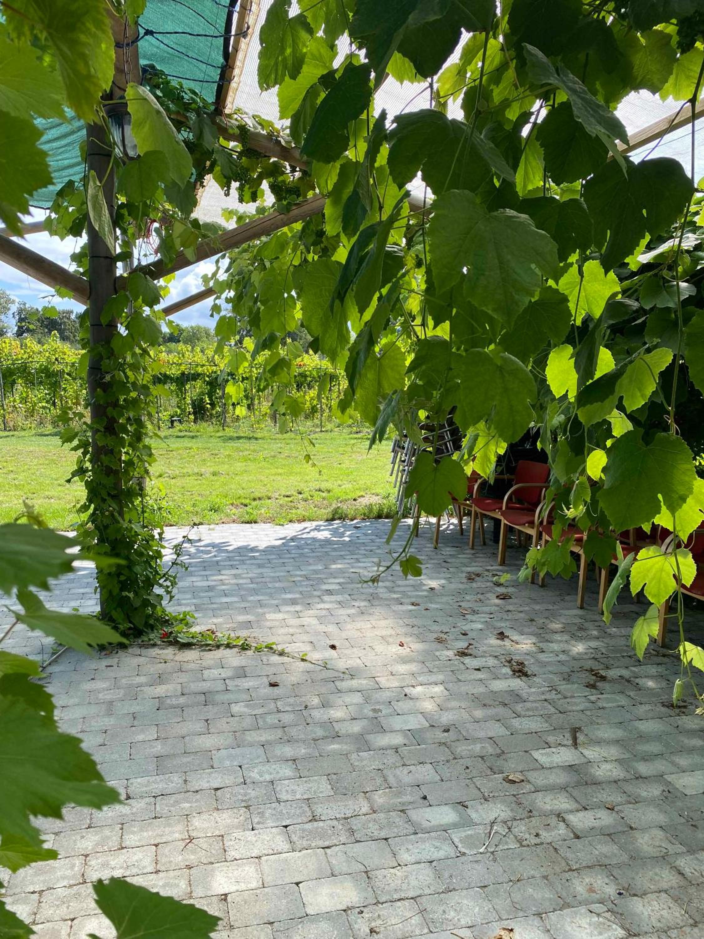 Italian Idyll In Karrebæksminde
