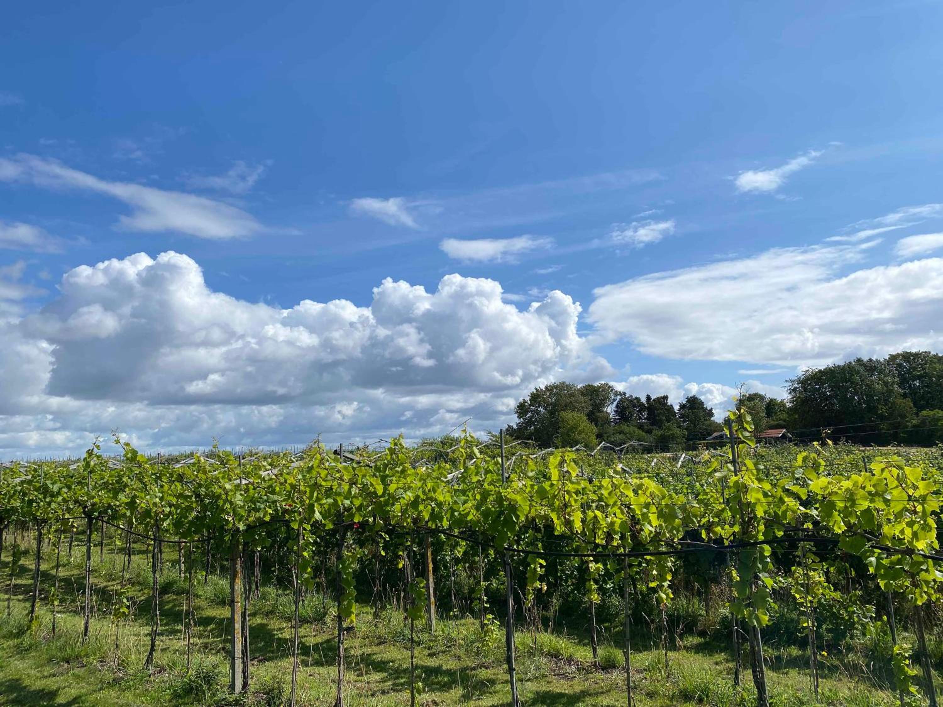 Italian Idyll In Karrebæksminde