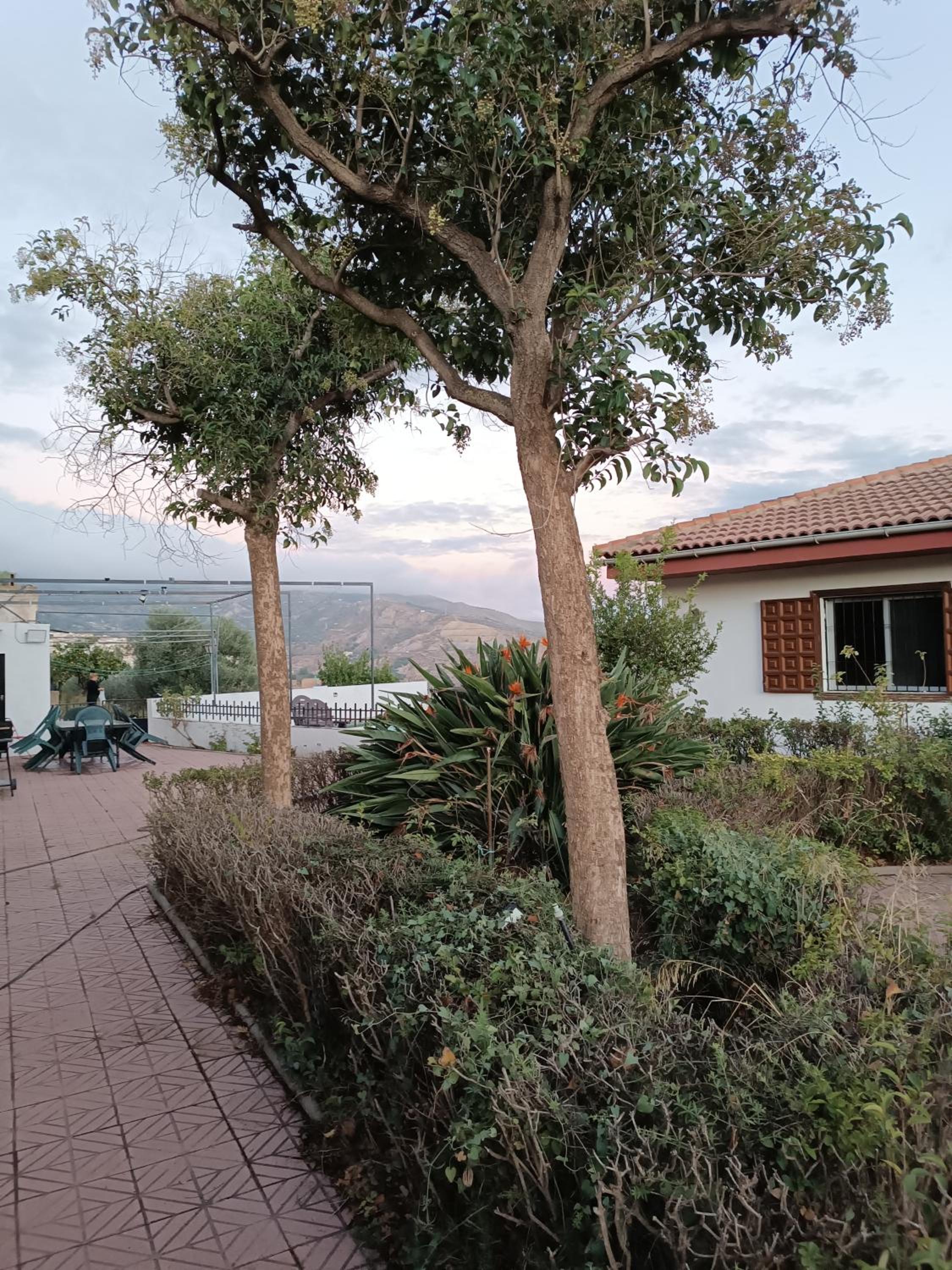 Casa Rural Chalet Venta del Aire Cortijo Terron
