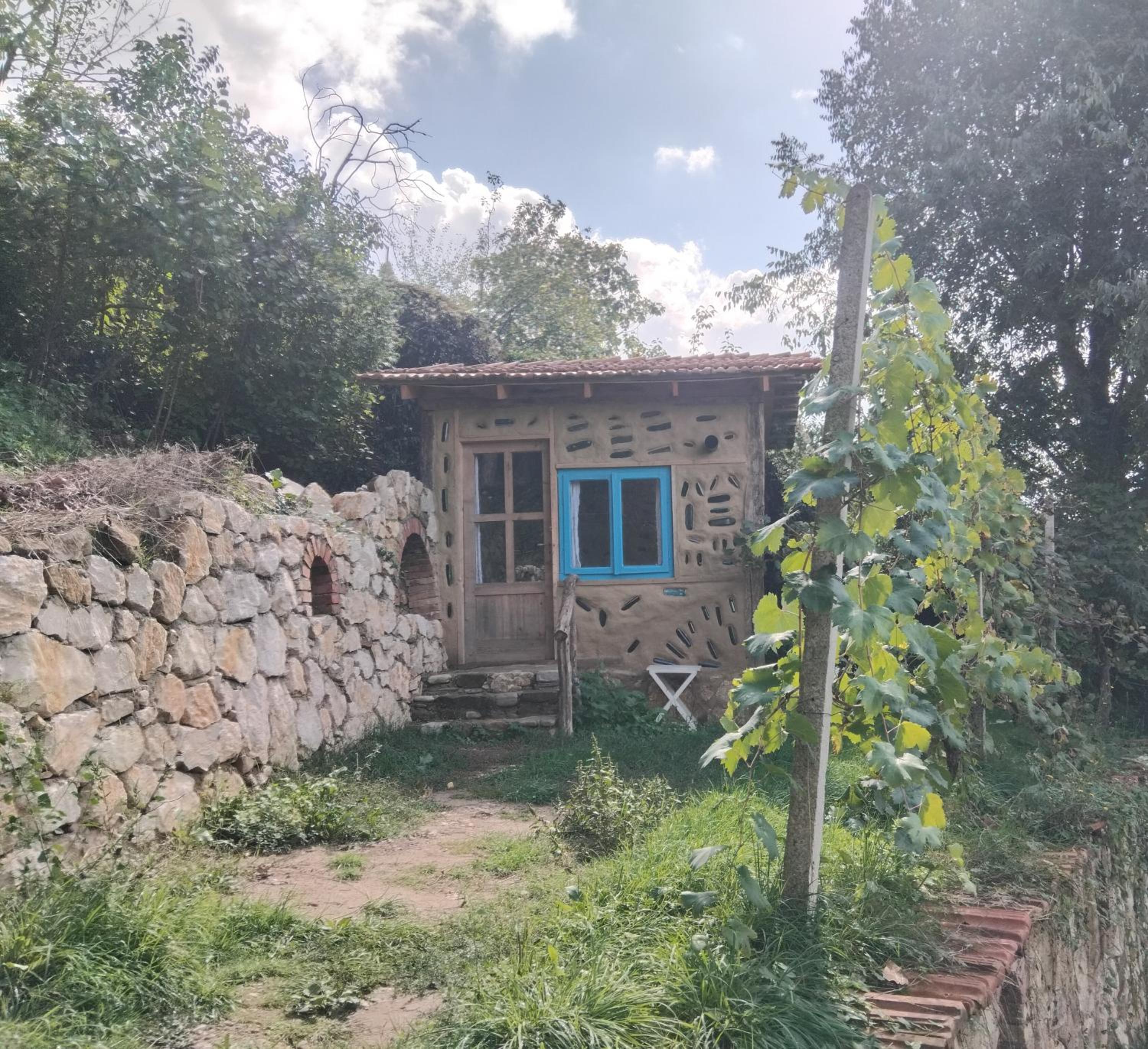 The house in the village