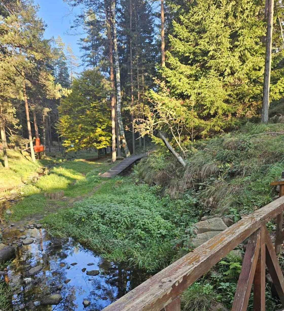 Borovi 3 - Zagrljaj prirode view 2