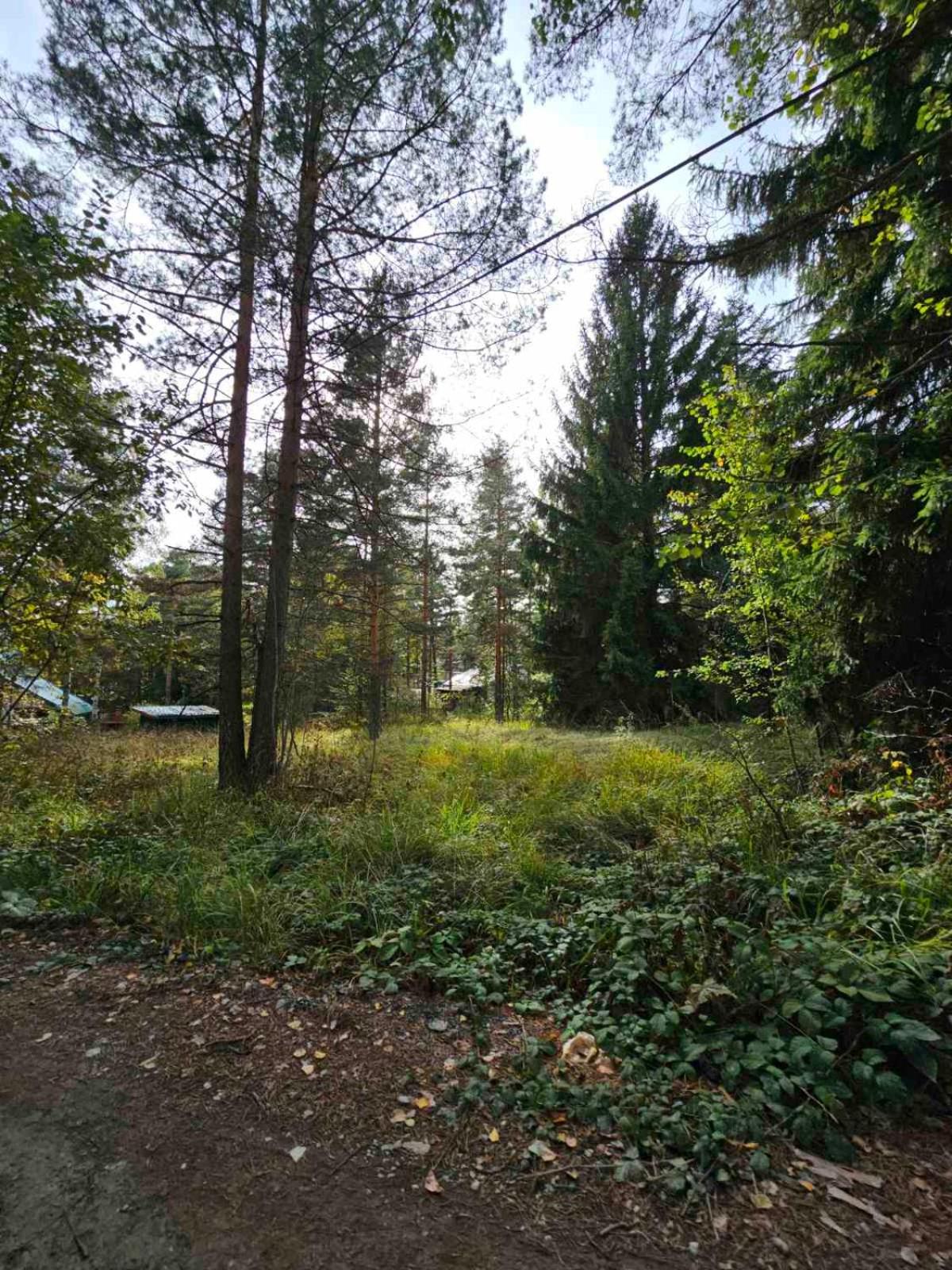 Photo 32