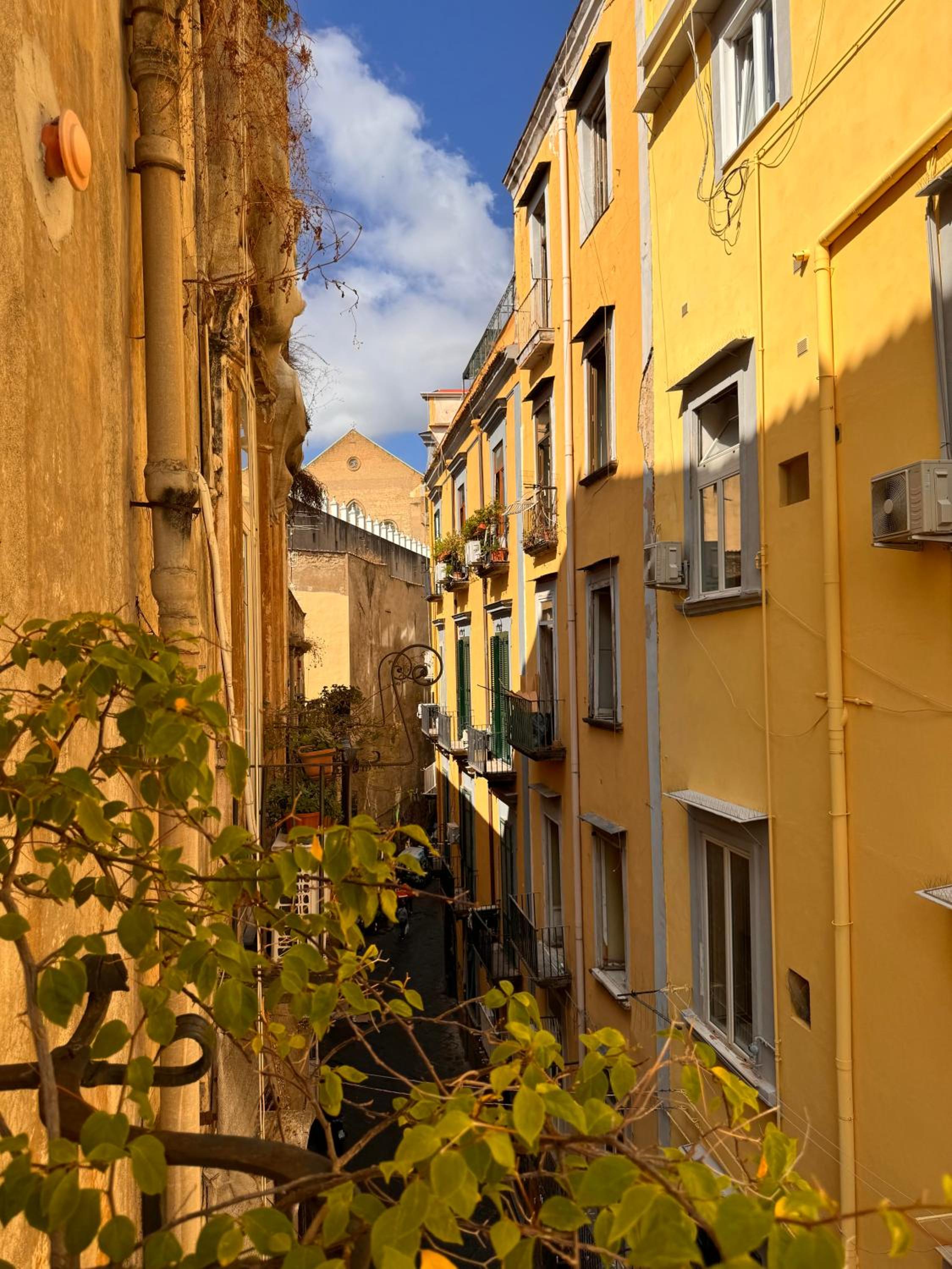 Lo Specchio dei Papiri