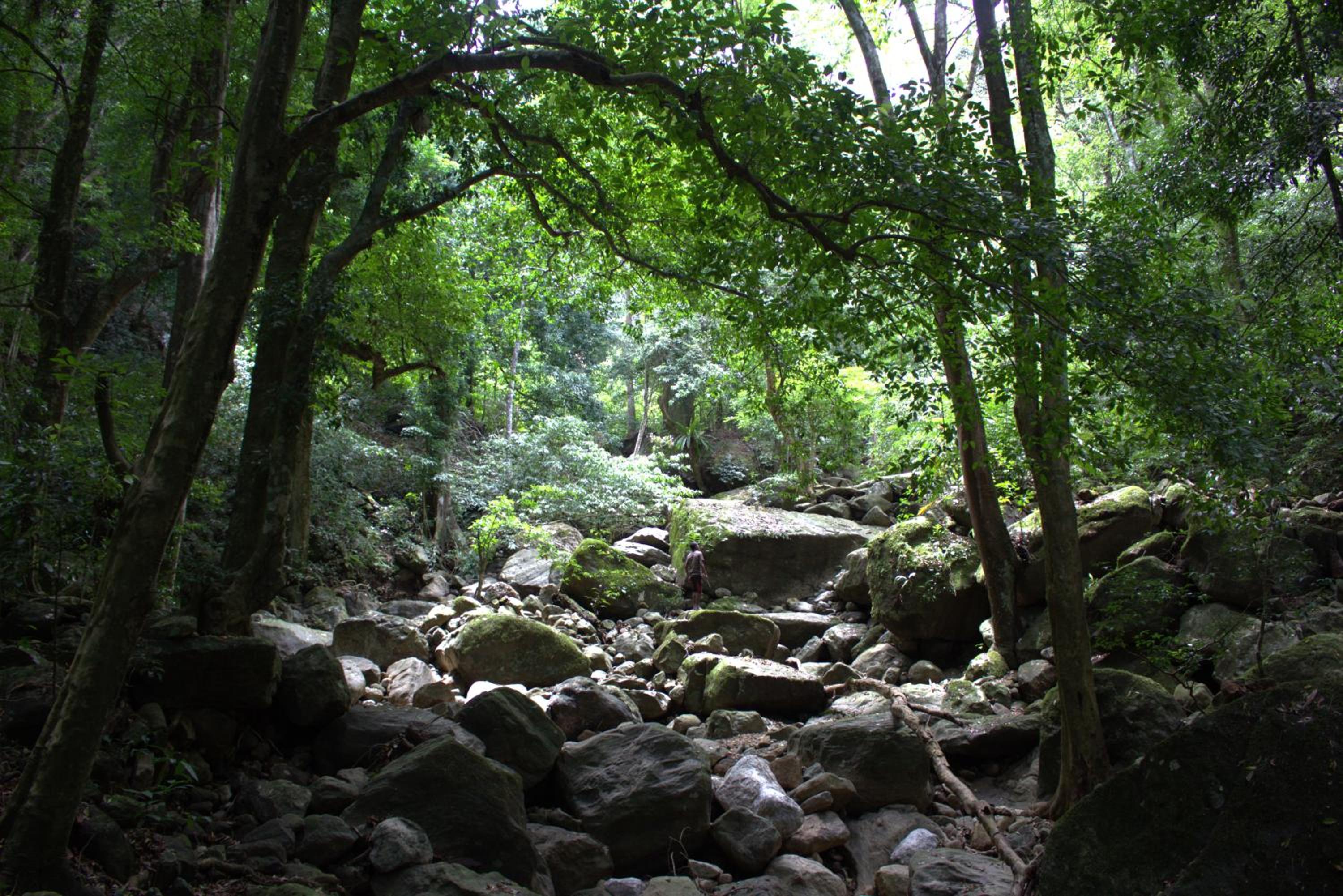 Photo 33
