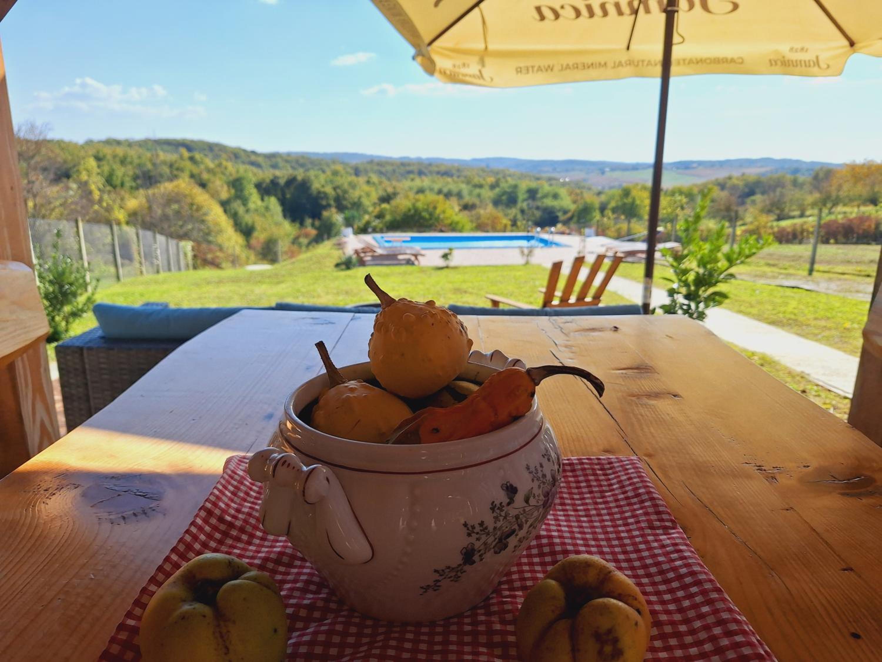 Kuća za odmor Matovilka view 5