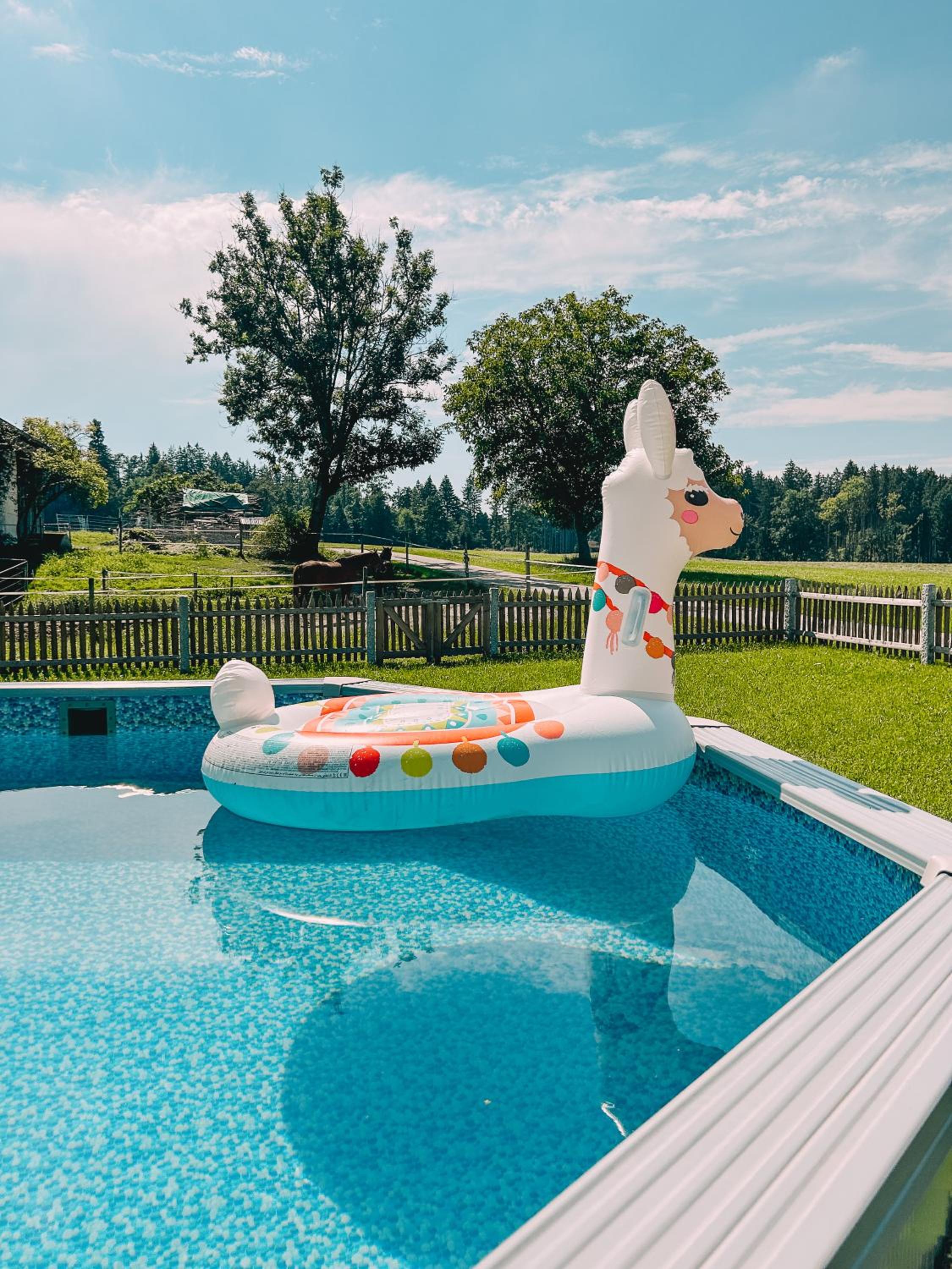 Ferienhof Petermühle Urlaub mit Alpakas