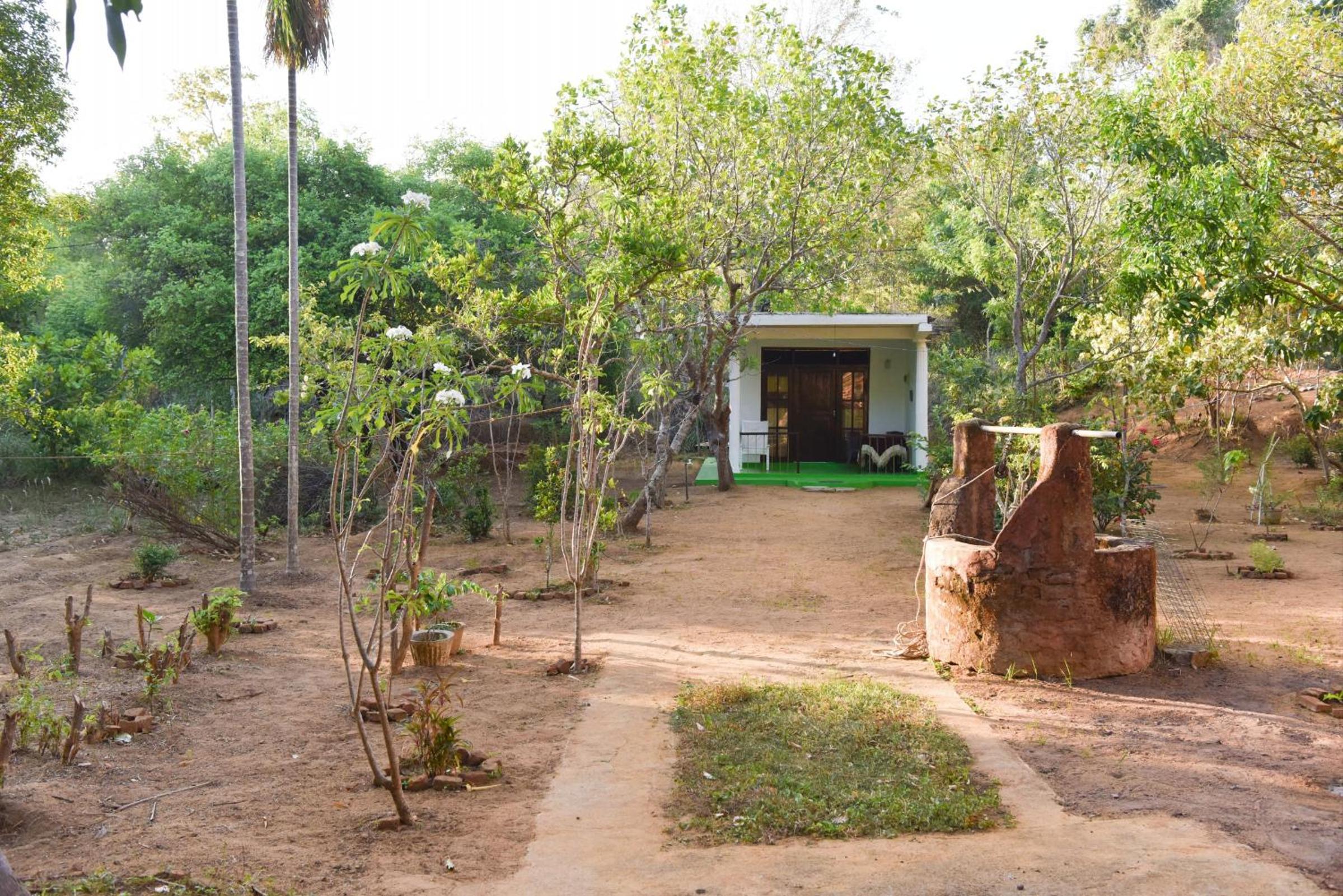 Sigiri Elephant View Guest
