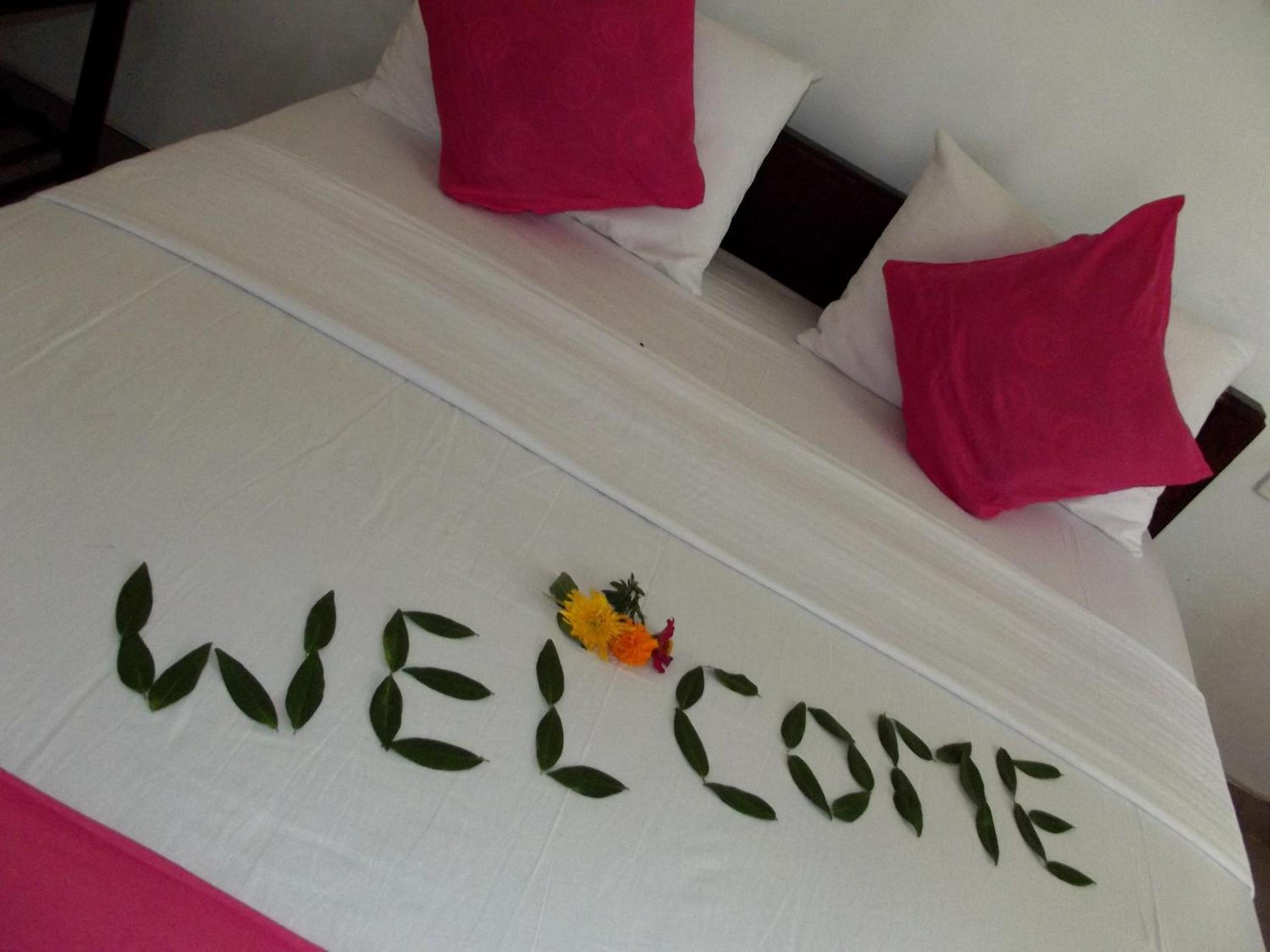 Sigiri Elephant View Guest