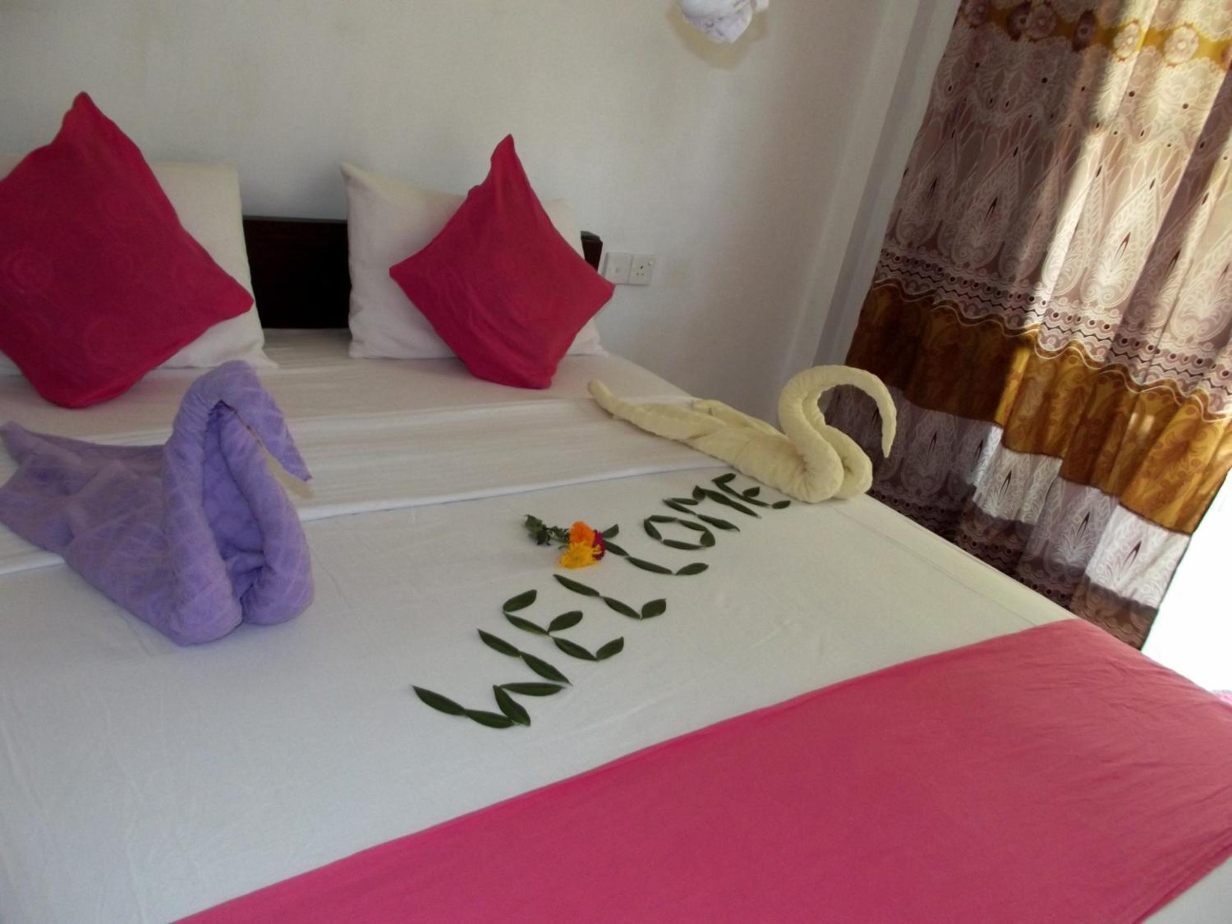 Sigiri Elephant View Guest