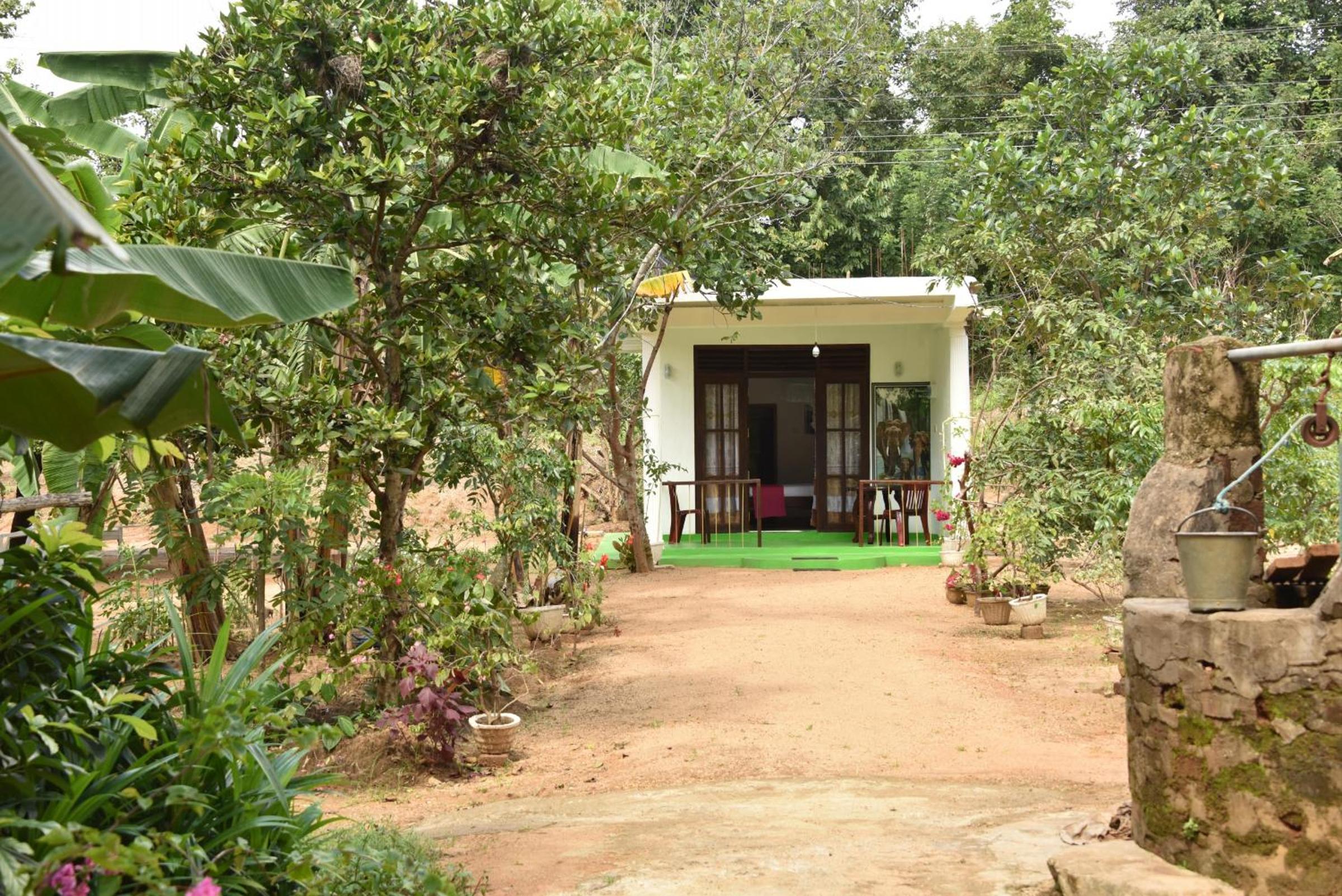 Sigiri Elephant View Guest