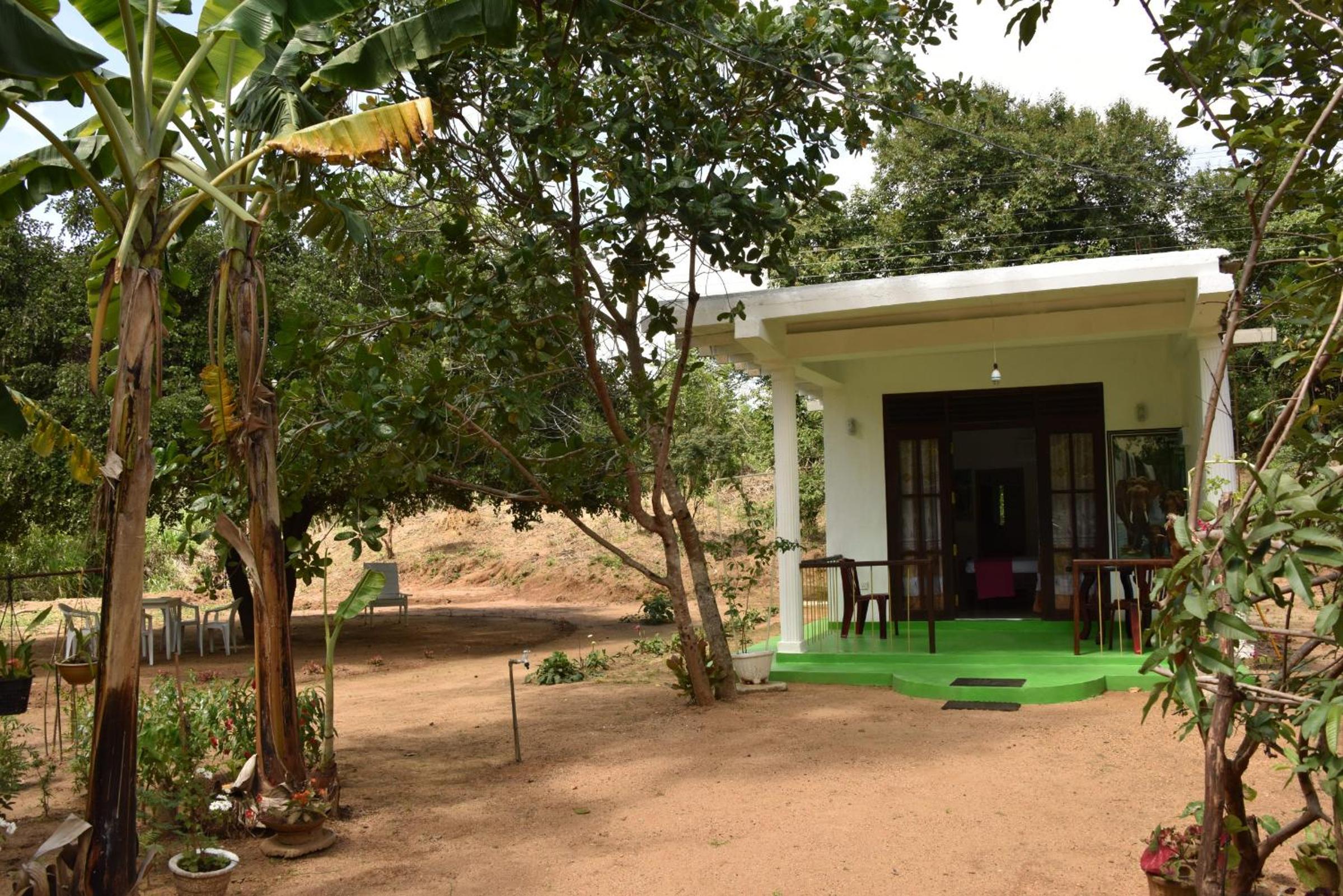 Sigiri Elephant View Guest