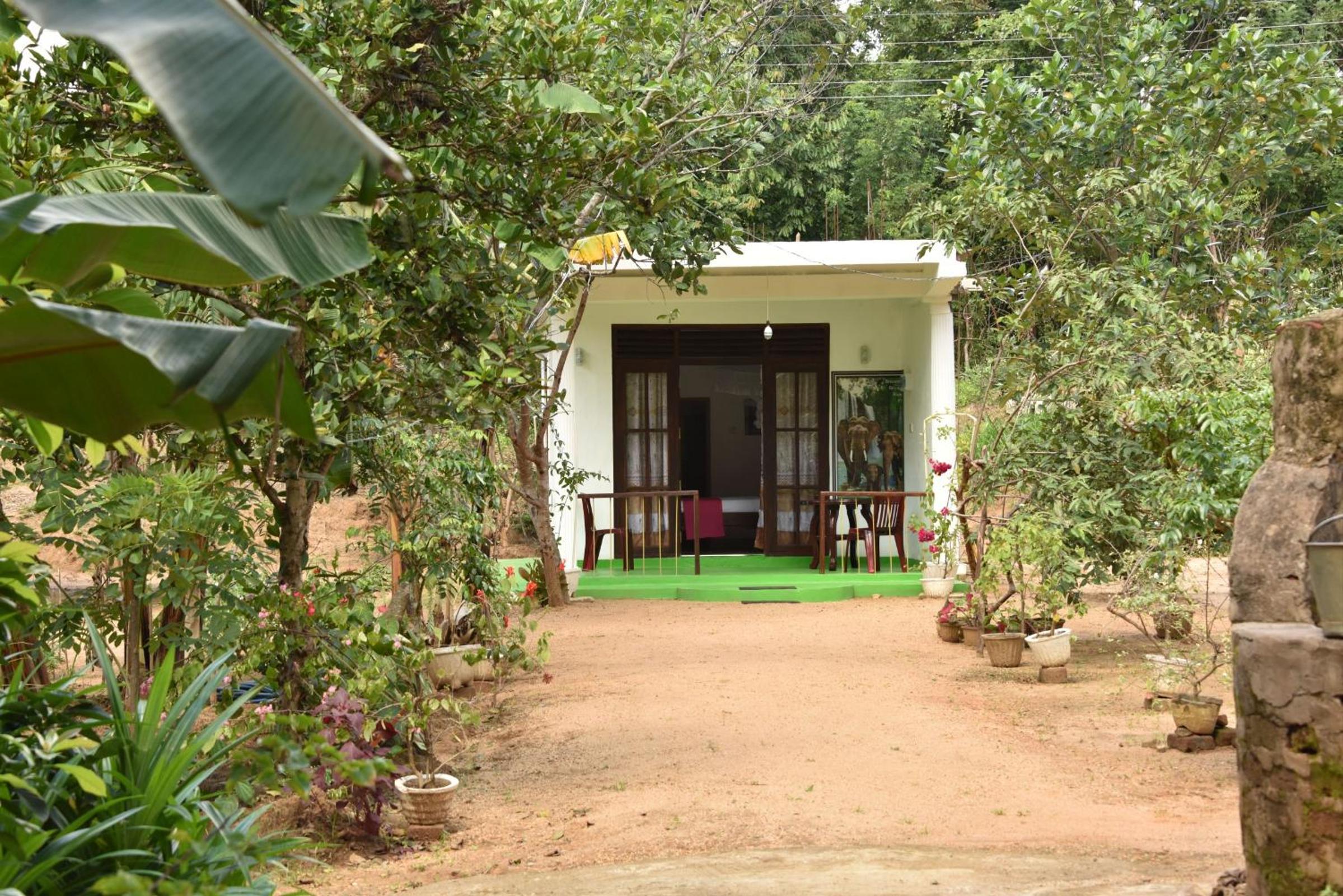 Sigiri Elephant View Guest