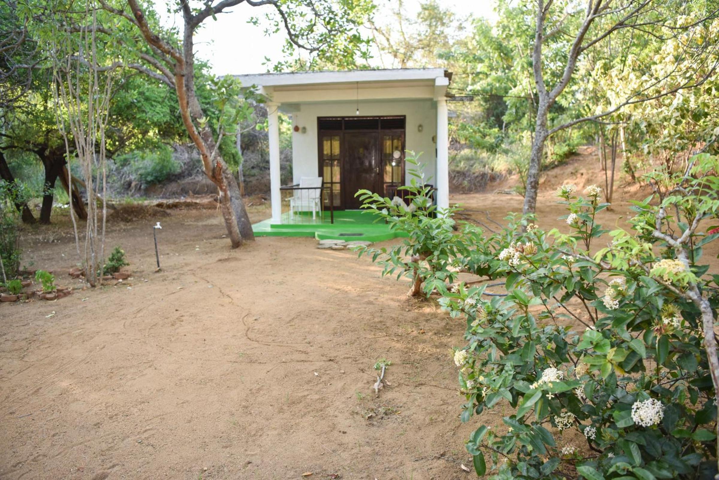 Sigiri Elephant View Guest
