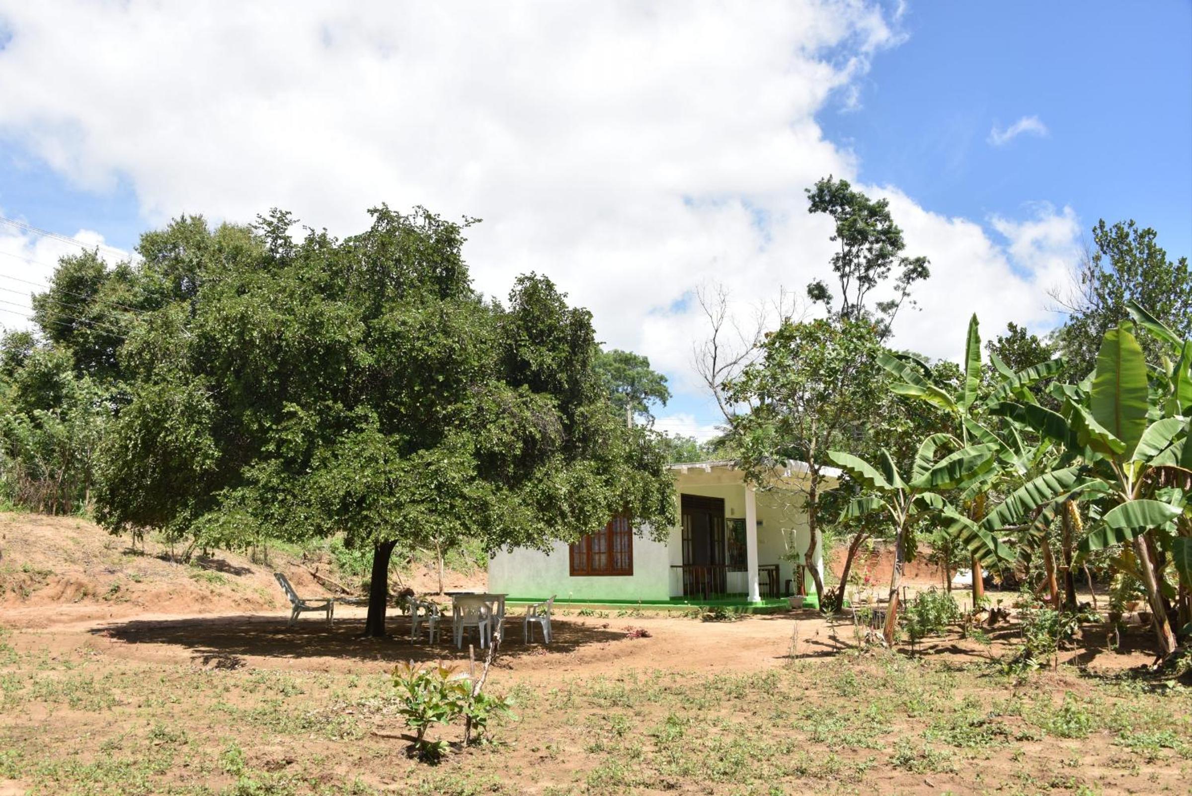 Sigiri Elephant View Guest